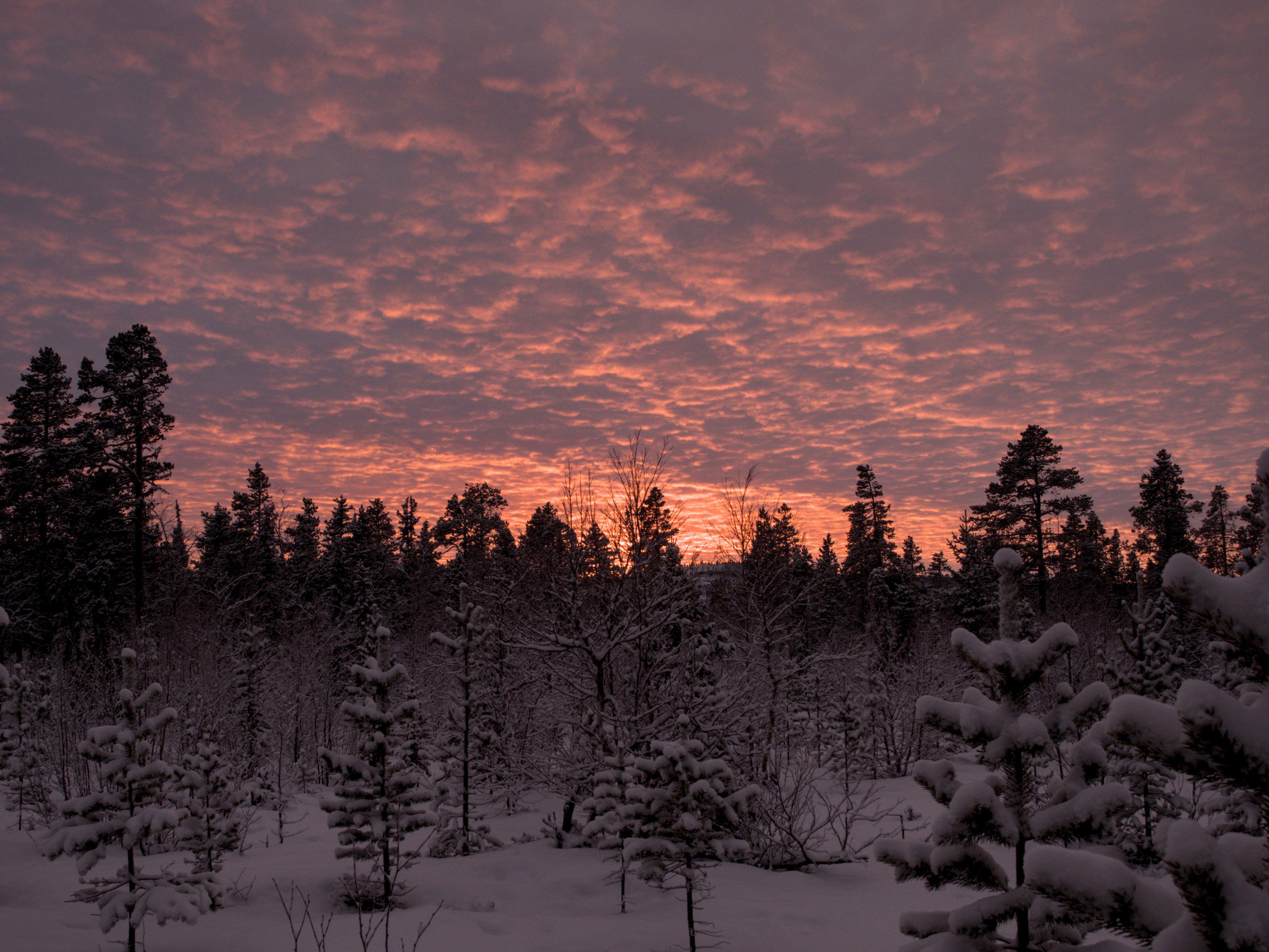 Beispielinhalt (Bild) Weihnachtszeit in Lappland