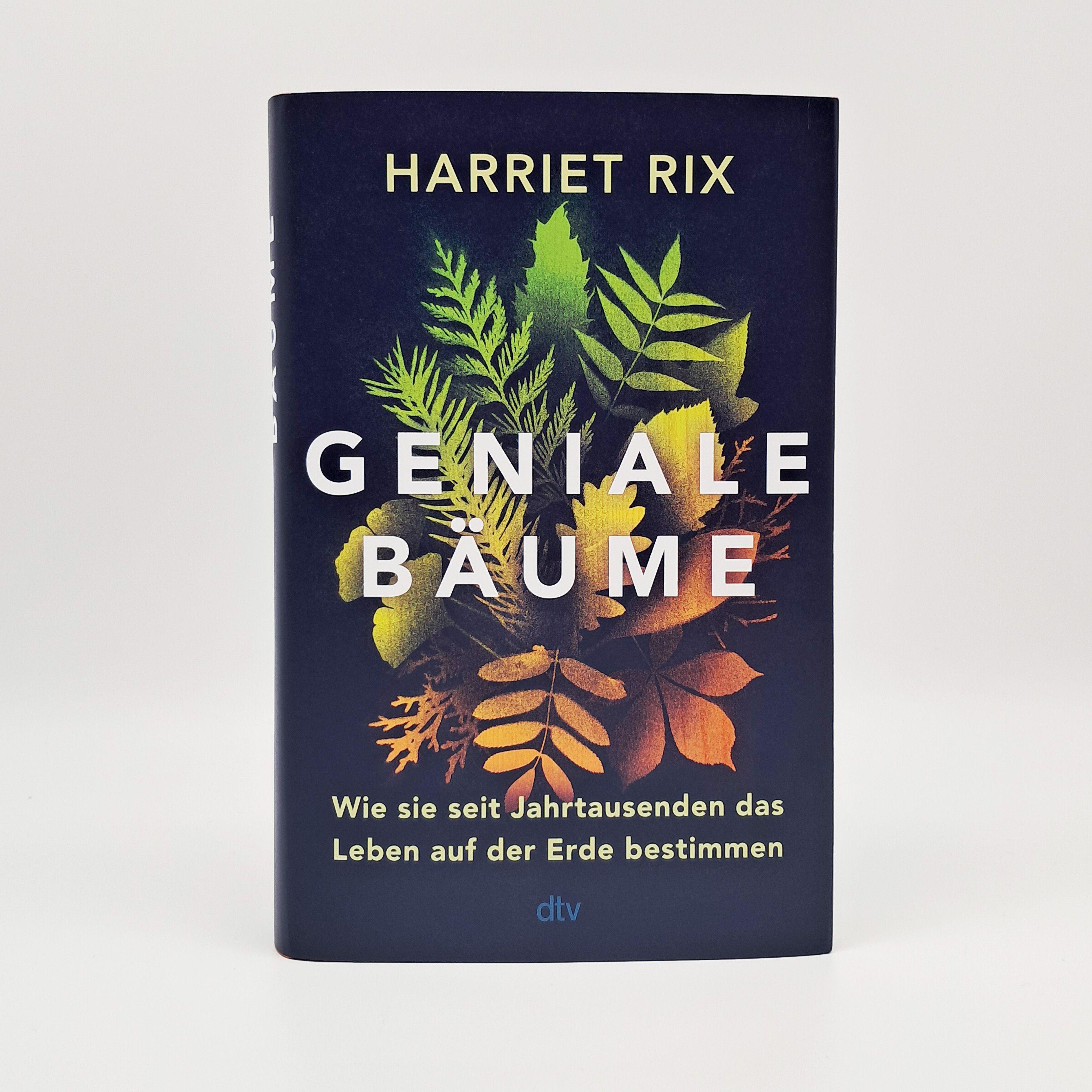 Beispielinhalt (Bild) Geniale Bäume