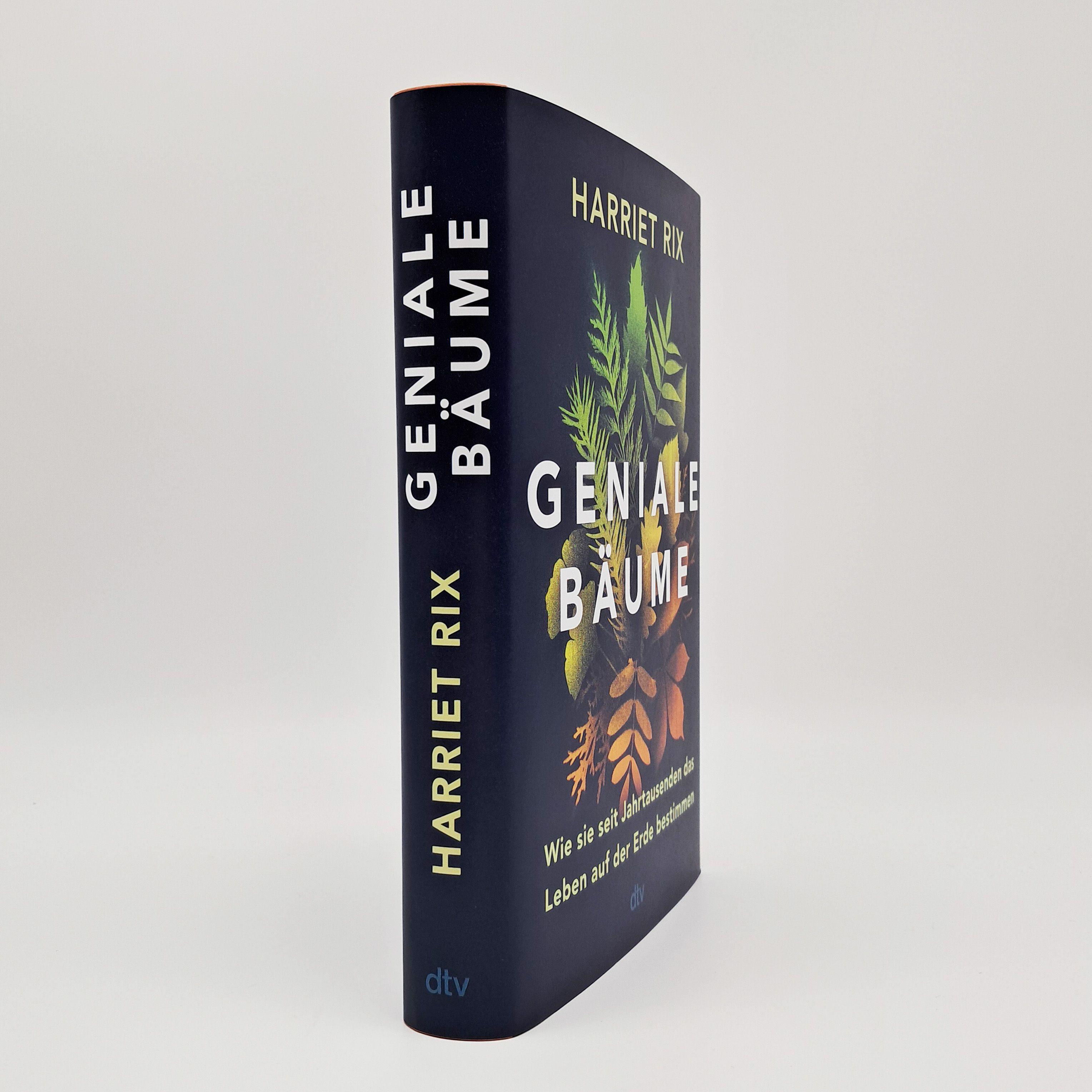 Beispielinhalt (Bild) Geniale Bäume