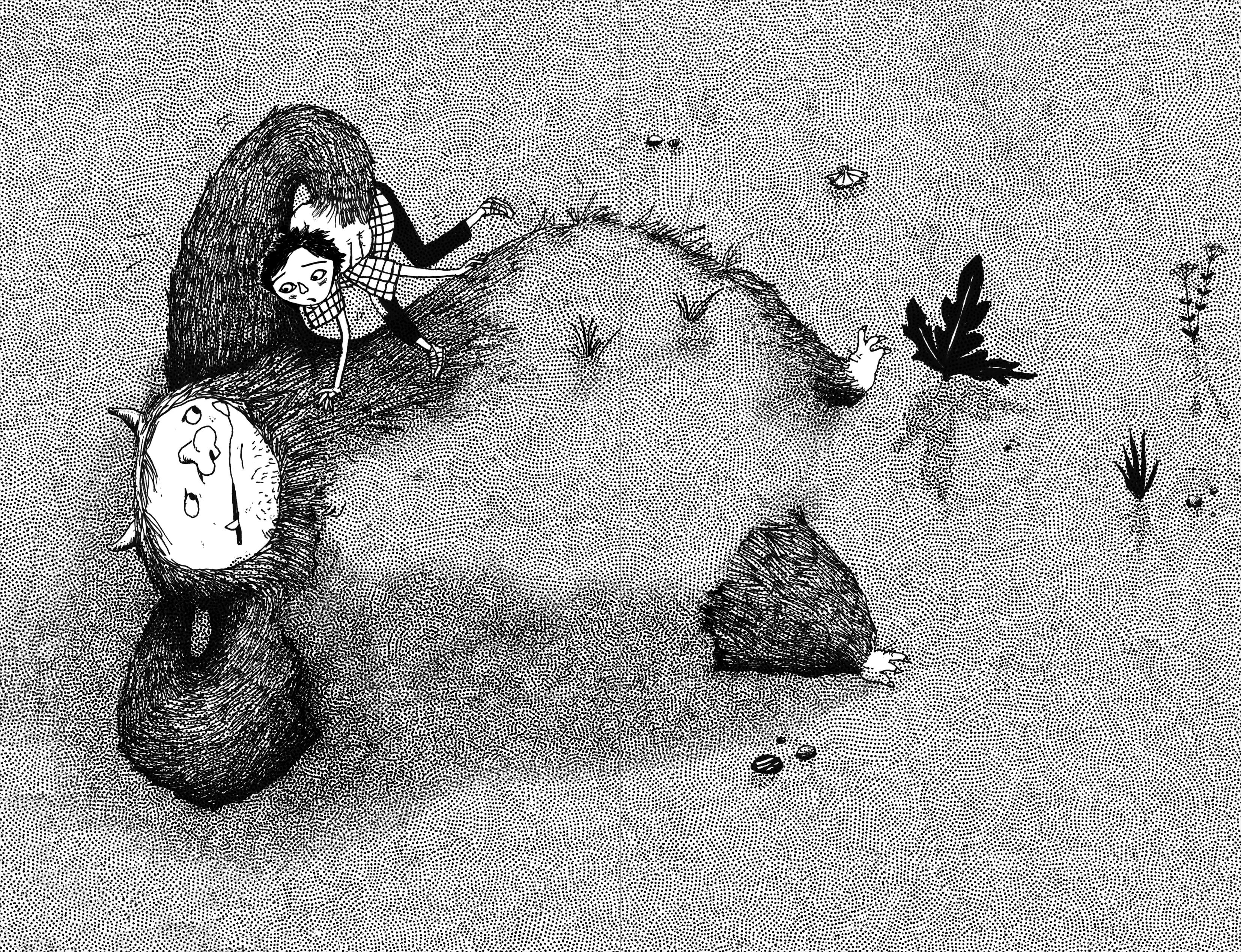 Beispielinhalt (Bild) Die Insel der Schlasocks