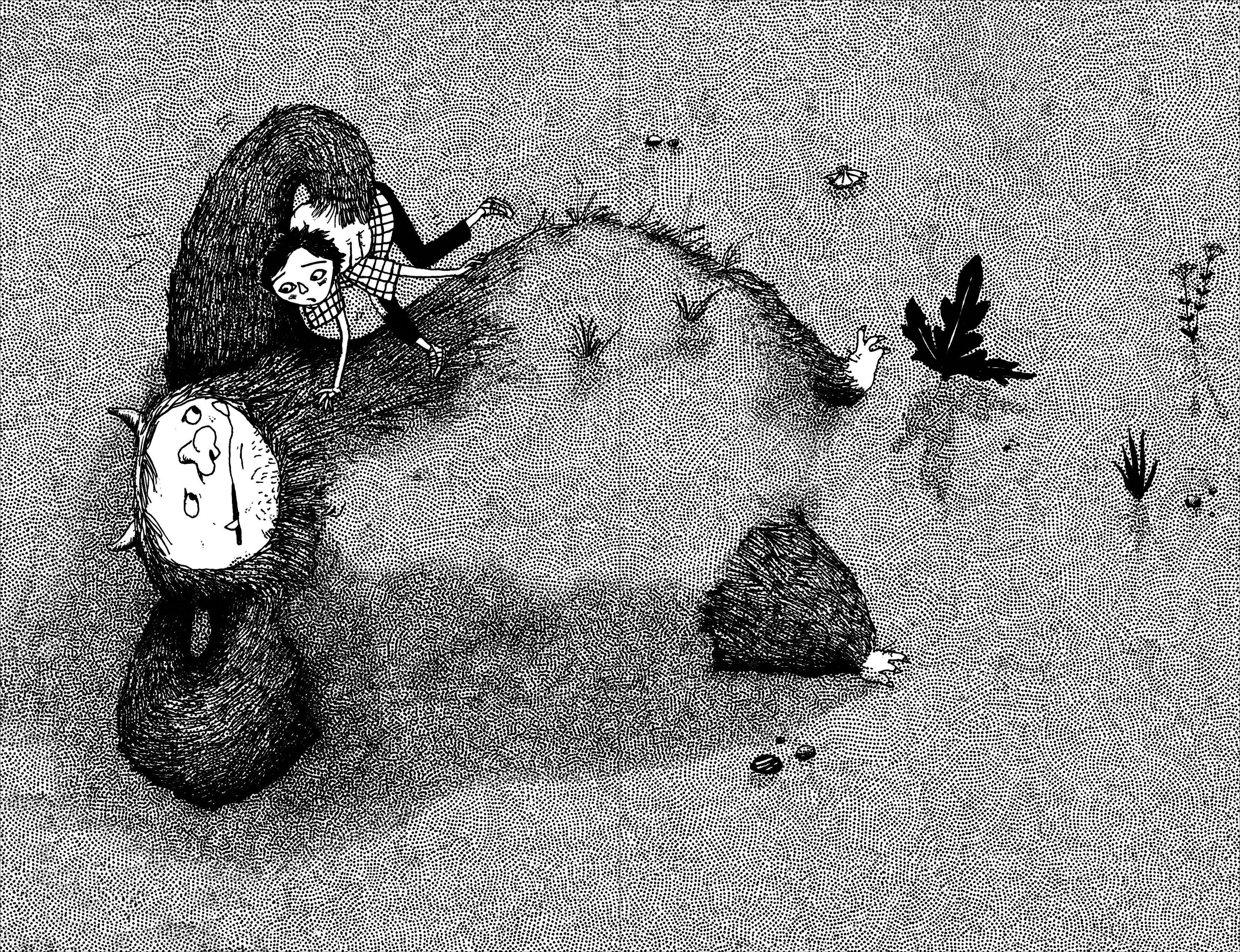 Beispielinhalt (Bild) Die Insel der Schlasocks