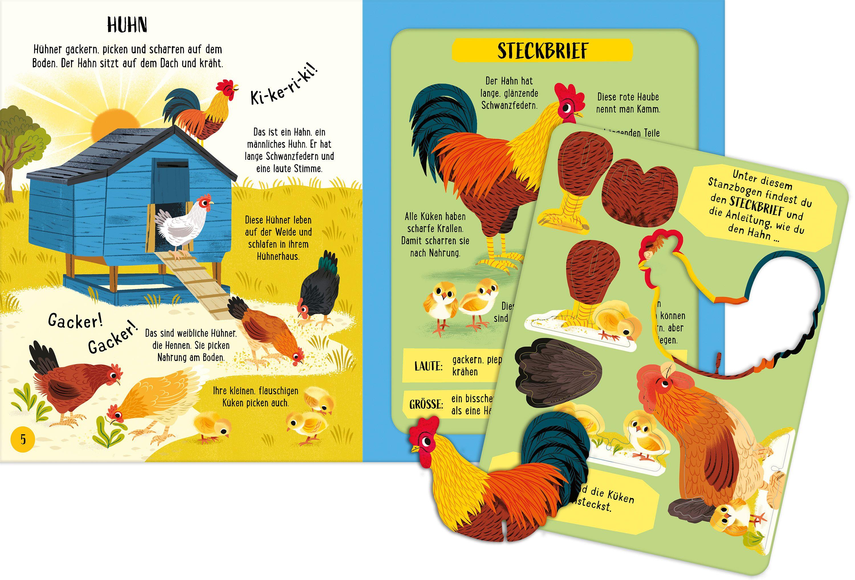 Beispielinhalt (Bild) Zusammenstecken und Entdecken: Bauernhoftiere
