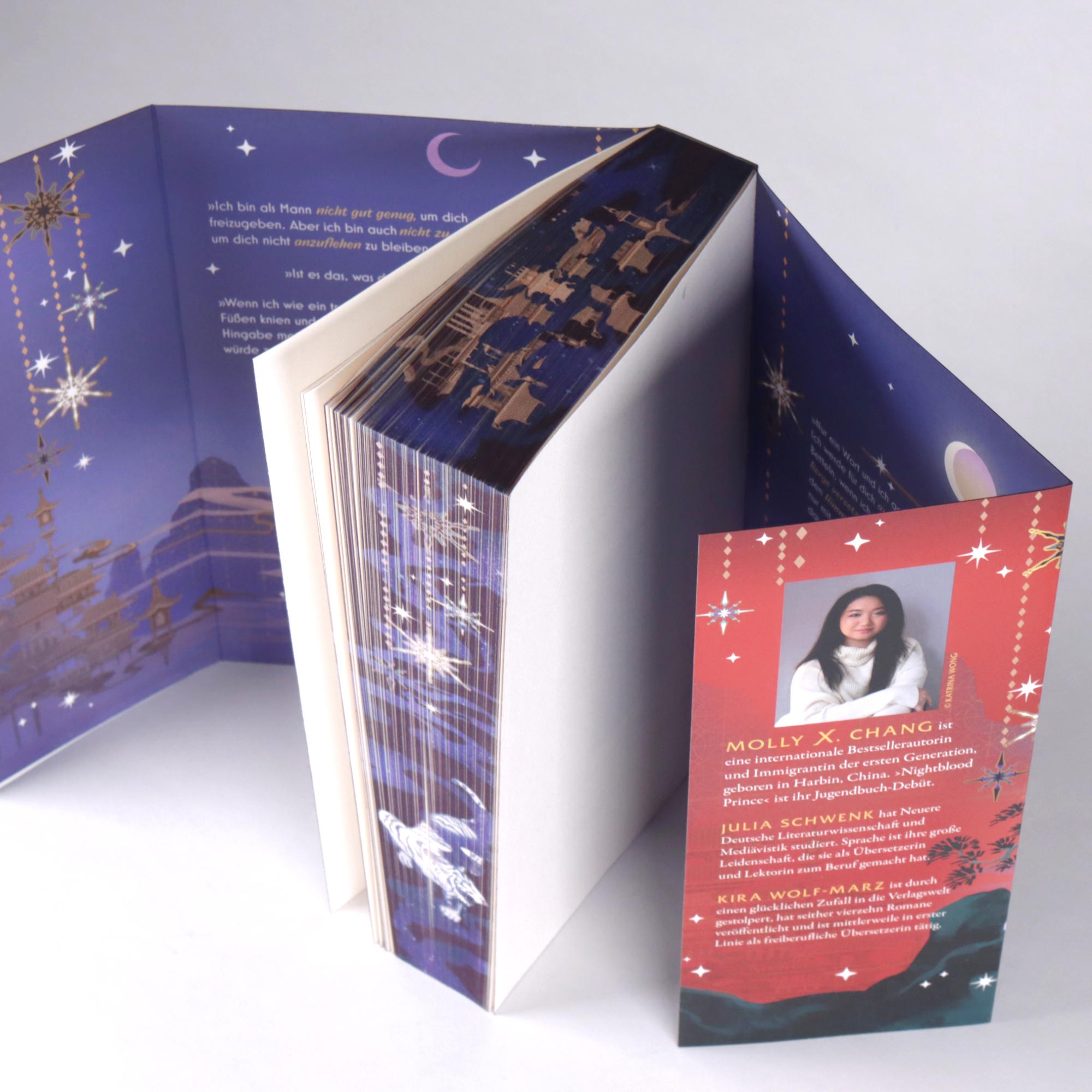 Beispielinhalt (Bild) Nightblood Prince