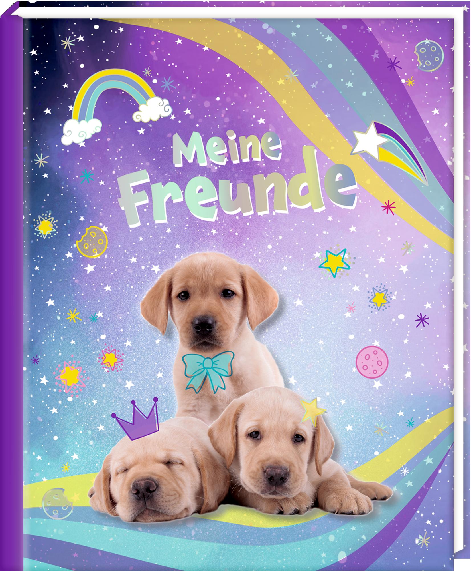 Vorderes Coverbild Freundebuch - Meine Freunde