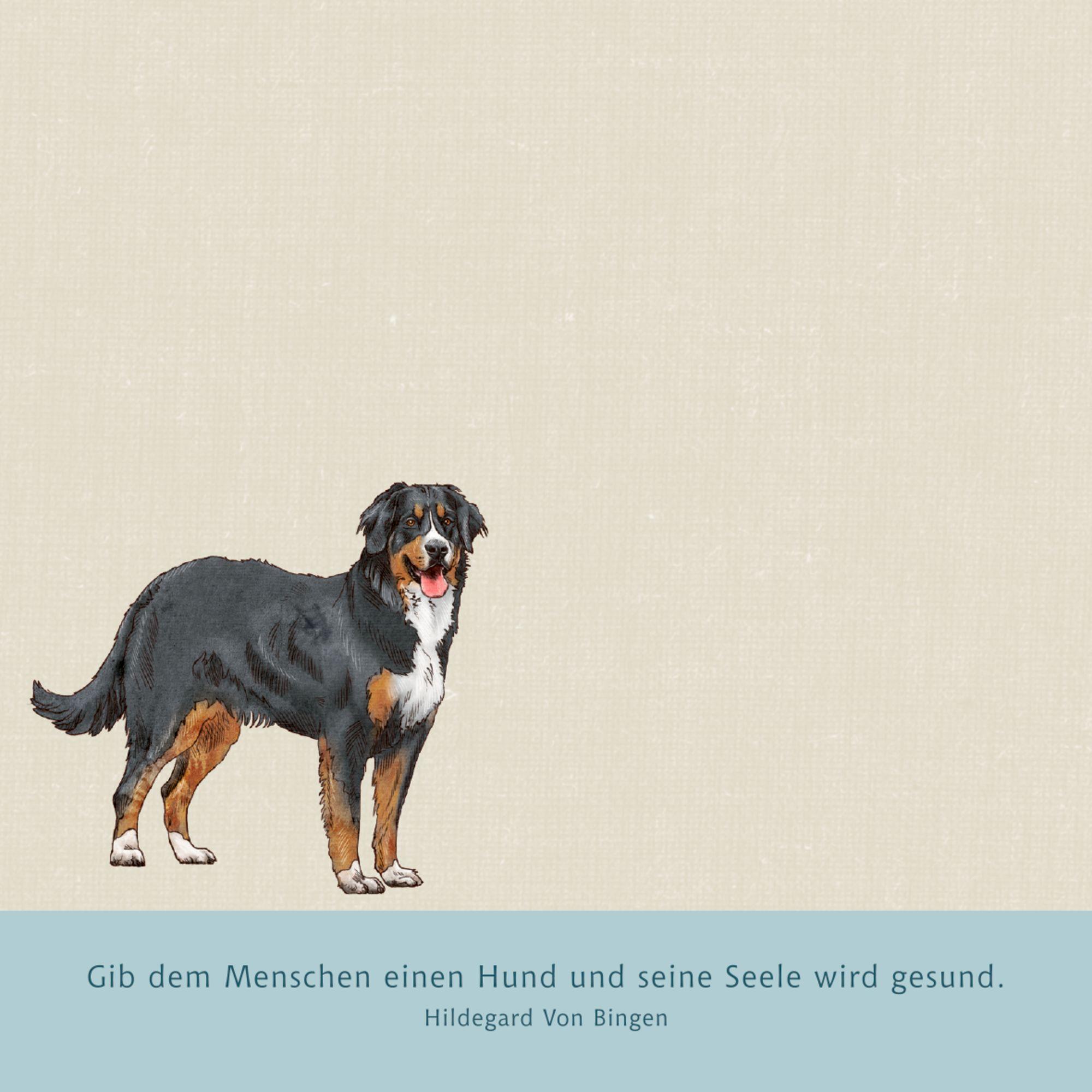 Beispielinhalt (Bild) Zettelkästchen - I love dogs