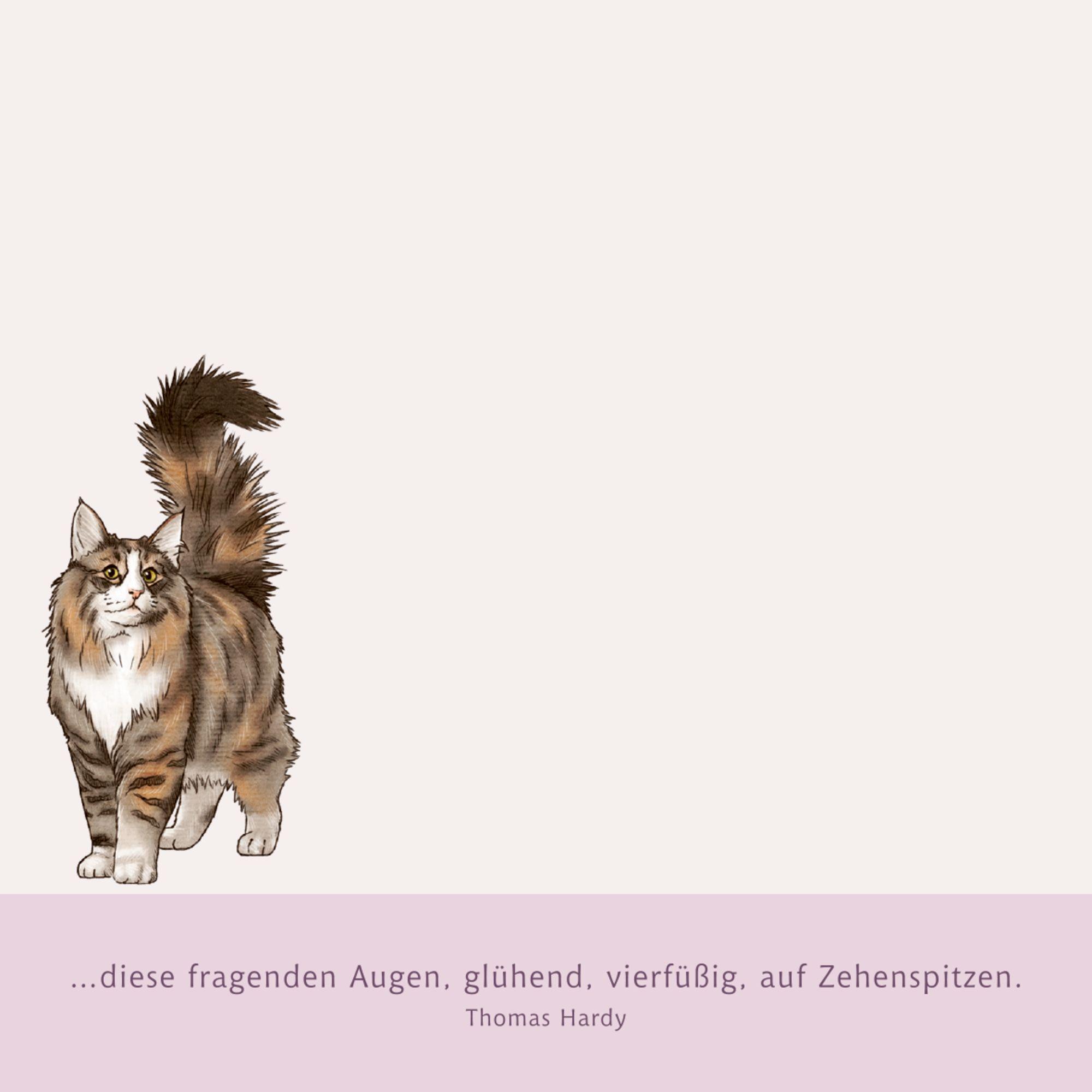 Beispielinhalt (Bild) Zettelkästchen - I love cats