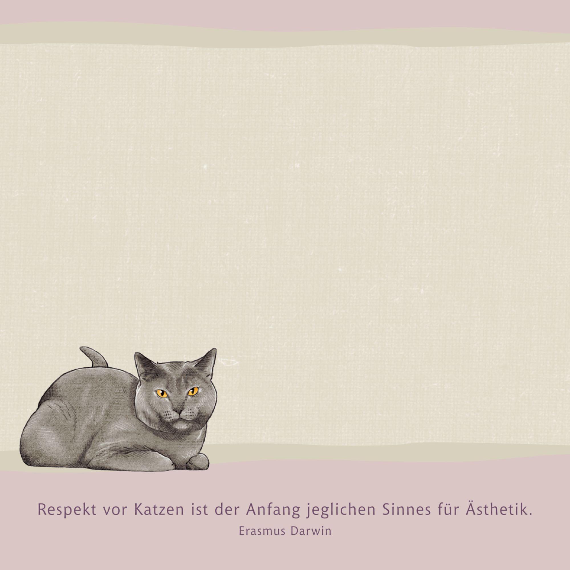 Beispielinhalt (Bild) Zettelkästchen - I love cats