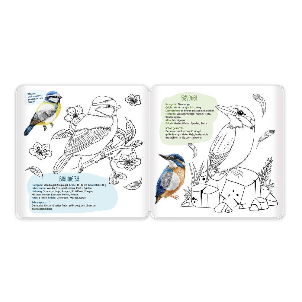 Beispielinhalt (Bild) TRÖTSCH - Stickermalbuch Unsere Vogelwelt Malbuch mit Stickern| Ab 5 Jahren