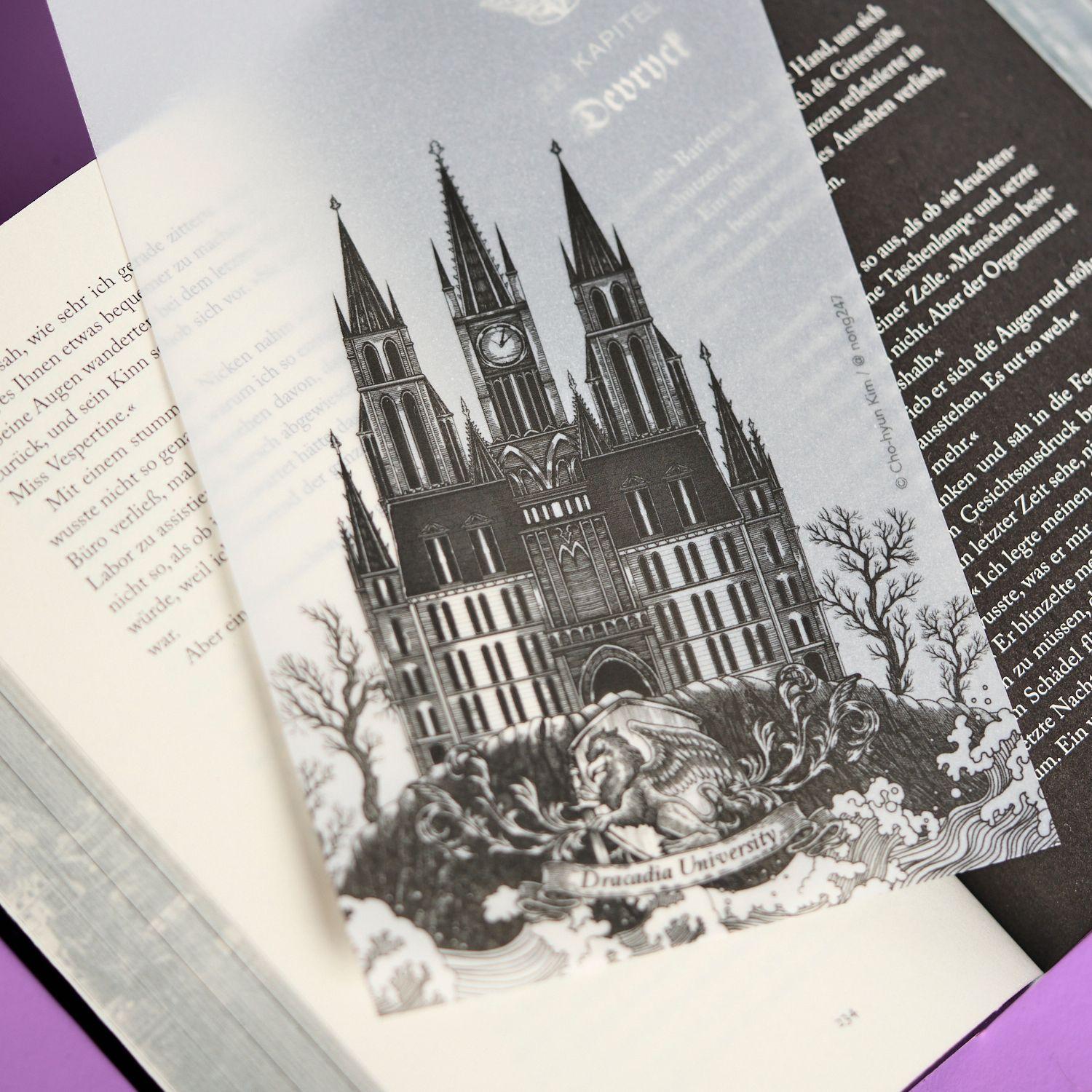 Beispielinhalt (Bild) Nocticadia