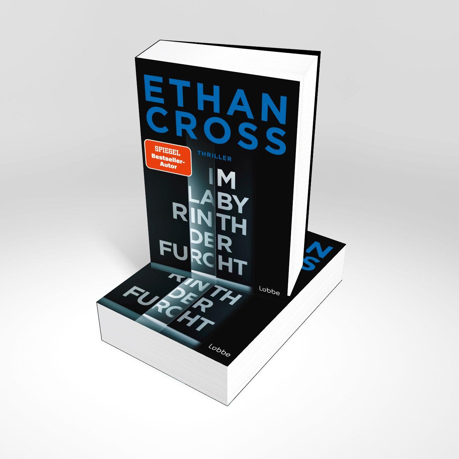 Beispielinhalt (Bild) Im Labyrinth der Furcht