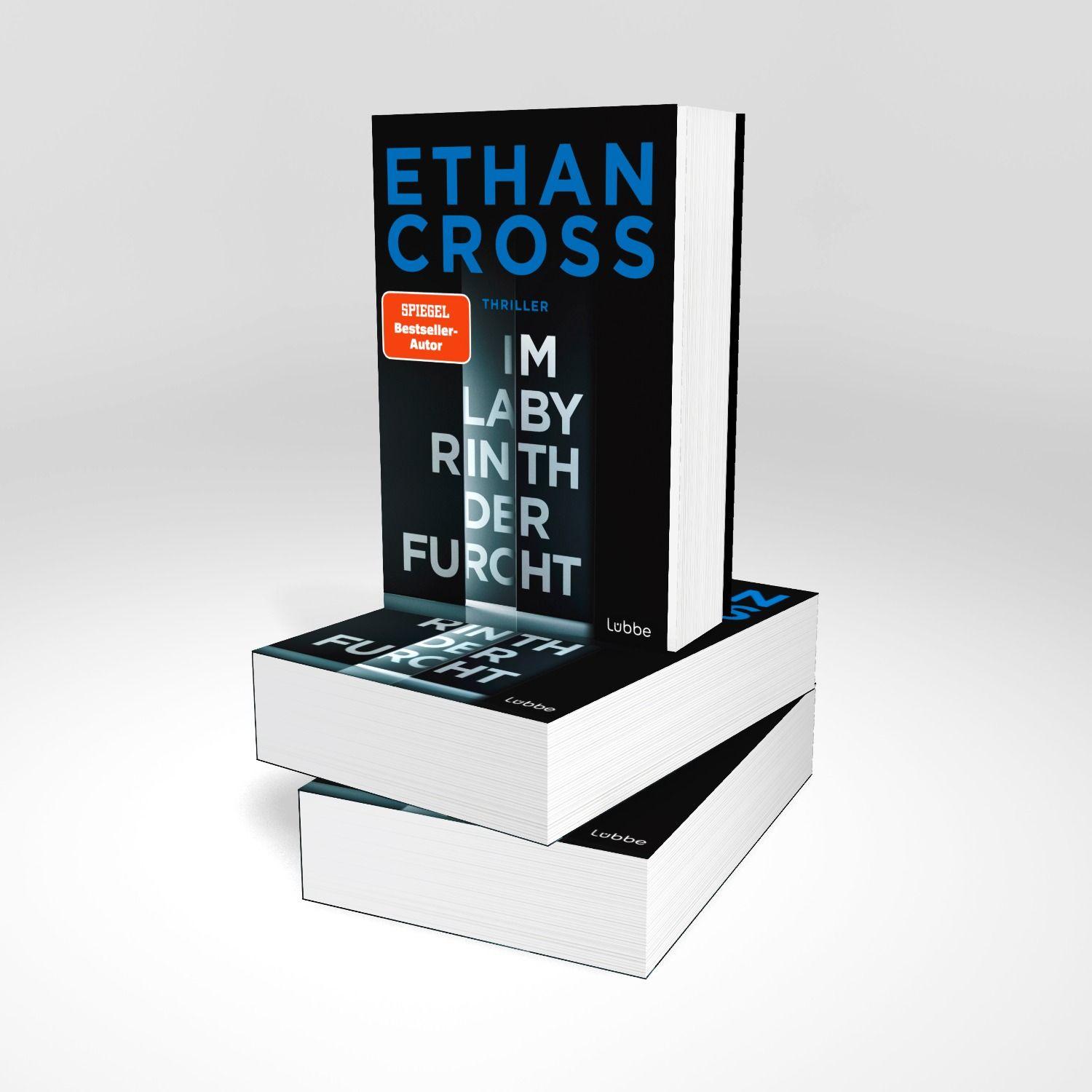 Beispielinhalt (Bild) Im Labyrinth der Furcht