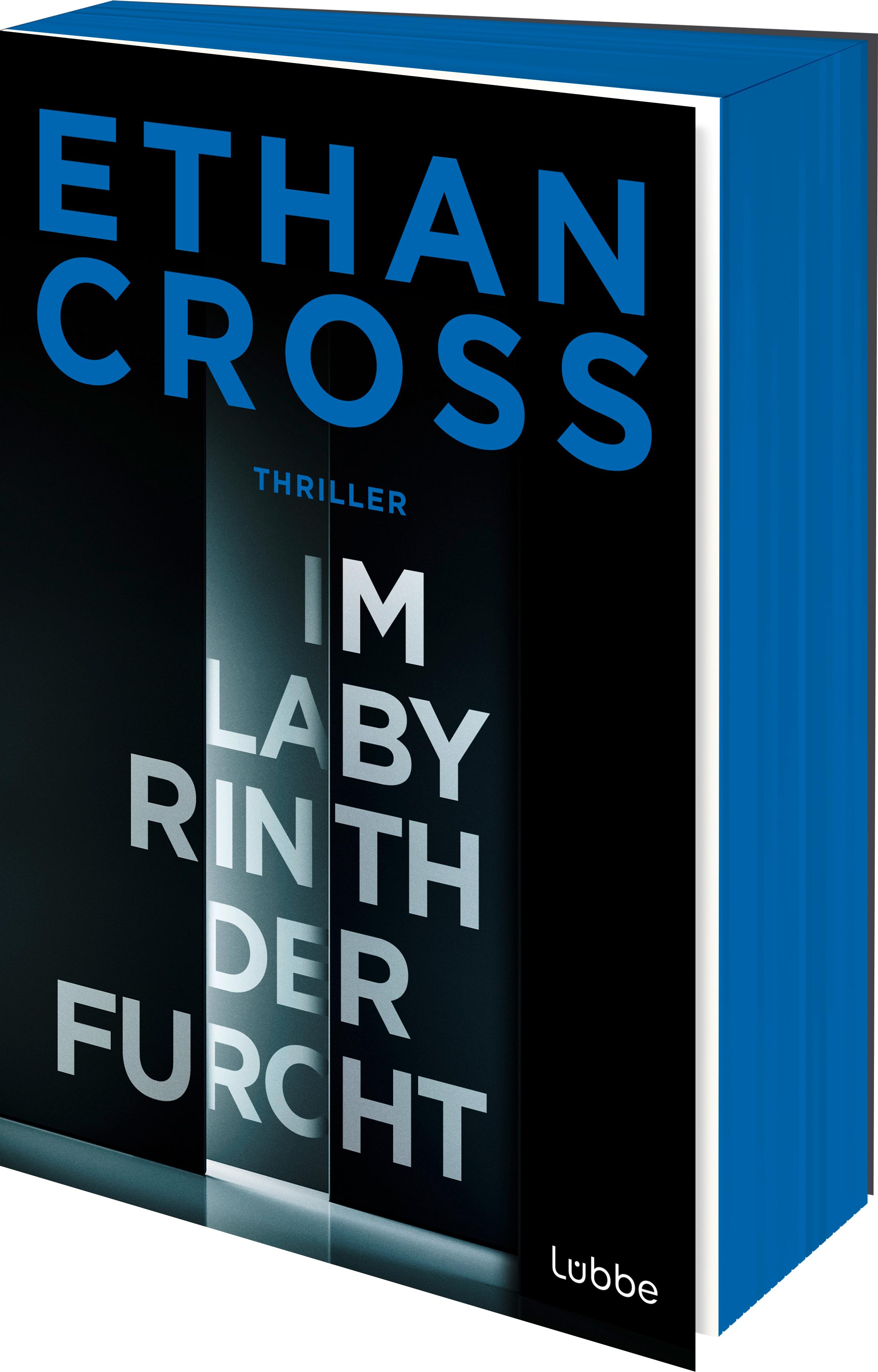 Vorderes Coverbild Im Labyrinth der Furcht