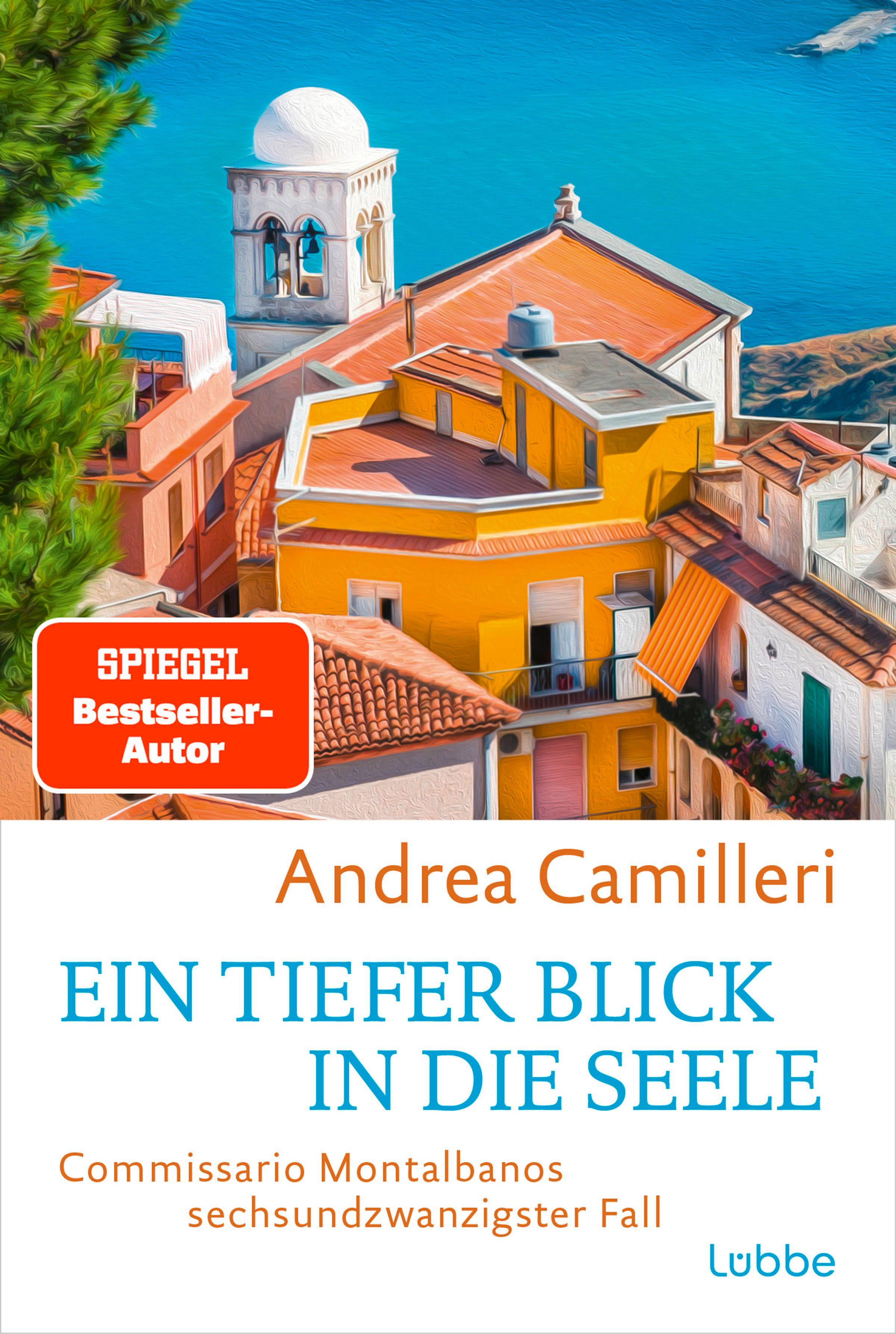 Vorderes Coverbild Ein tiefer Blick in die Seele