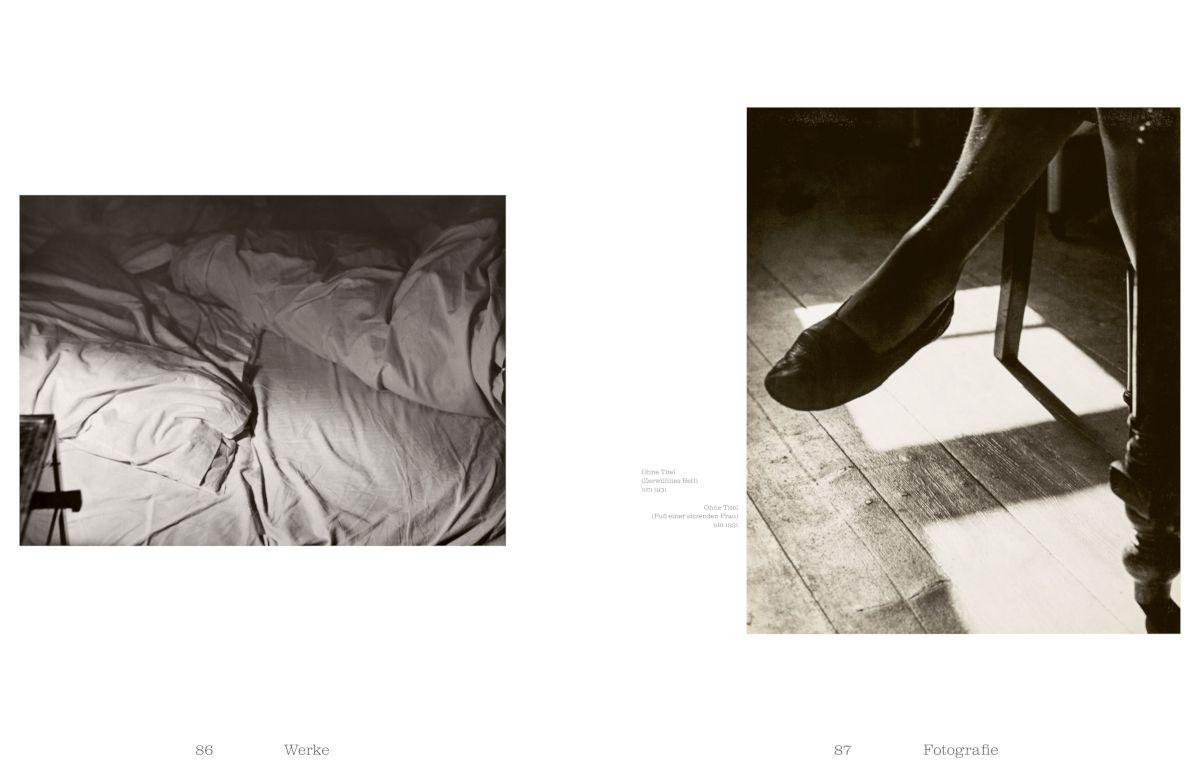 Beispielinhalt (Bild) Raoul Hausmann (1886-1971). Vision. Provokation. Dada.