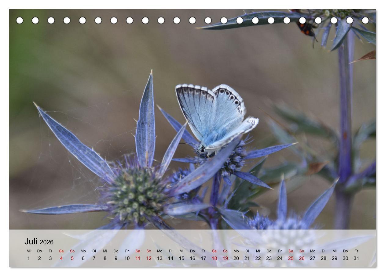 Beispielinhalt (Bild) Abruzzen - wild und romantisch (Tischkalender 2026 DIN A5 quer), CALVENDO Monatskalender