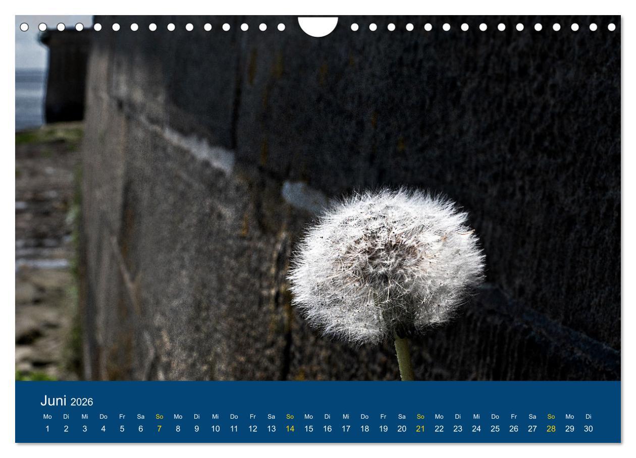 Beispielinhalt (Bild) Die Nordmole in Wilhelmshaven. Historisches Relikt und Lieblingsort. (Wandkalender 2026 DIN A4 quer), CALVENDO Monatskalender