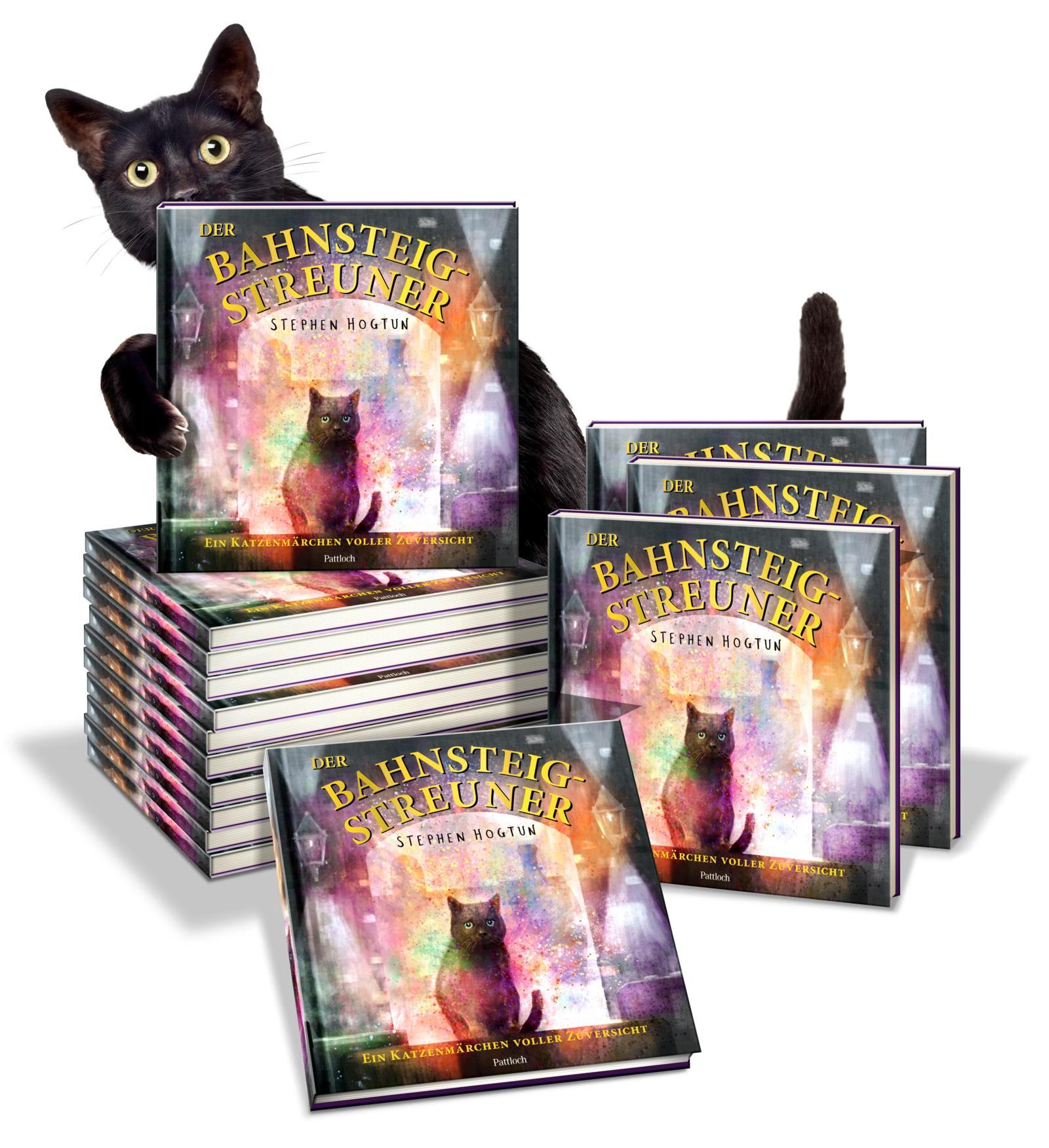 Beispielinhalt (Bild) Der Bahnsteig-Streuner