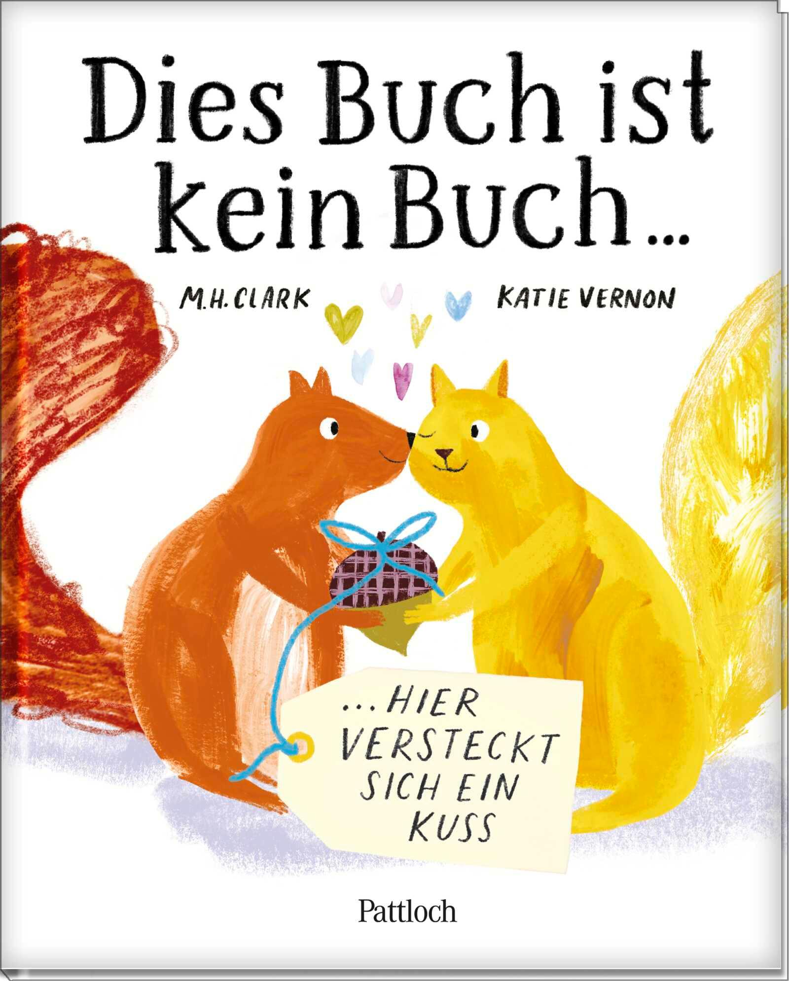 Vorderes Coverbild Dies Buch ist kein Buch, hier versteckt sich ein Kuss