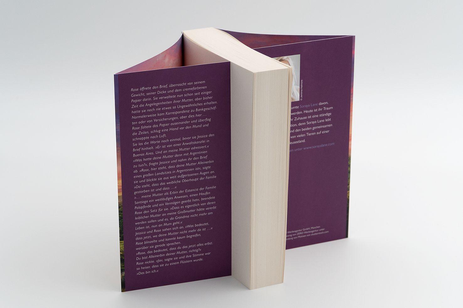 Beispielinhalt (Bild) Die verlassene Tochter