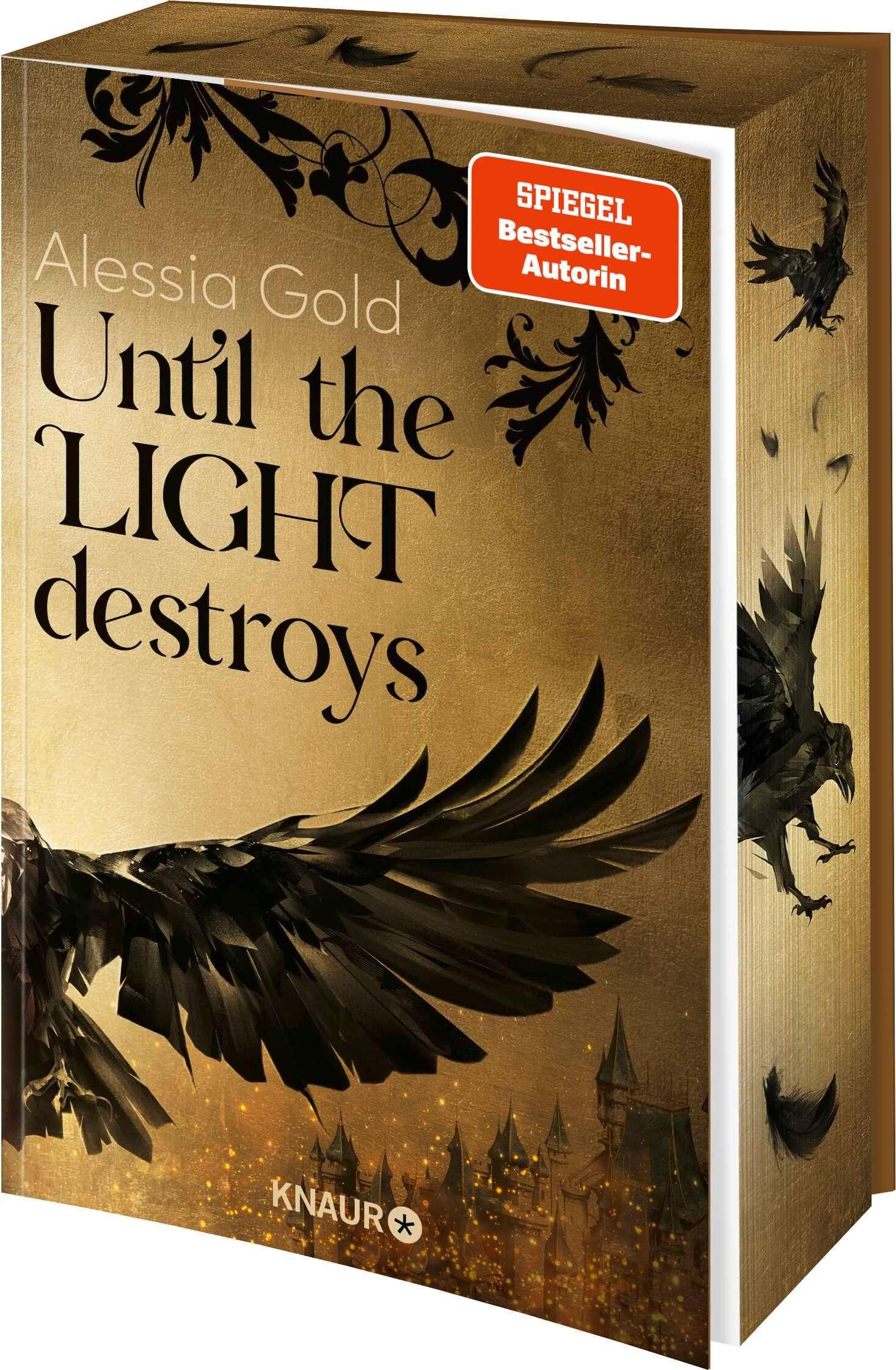 Vorderes Coverbild Until the Light destroys