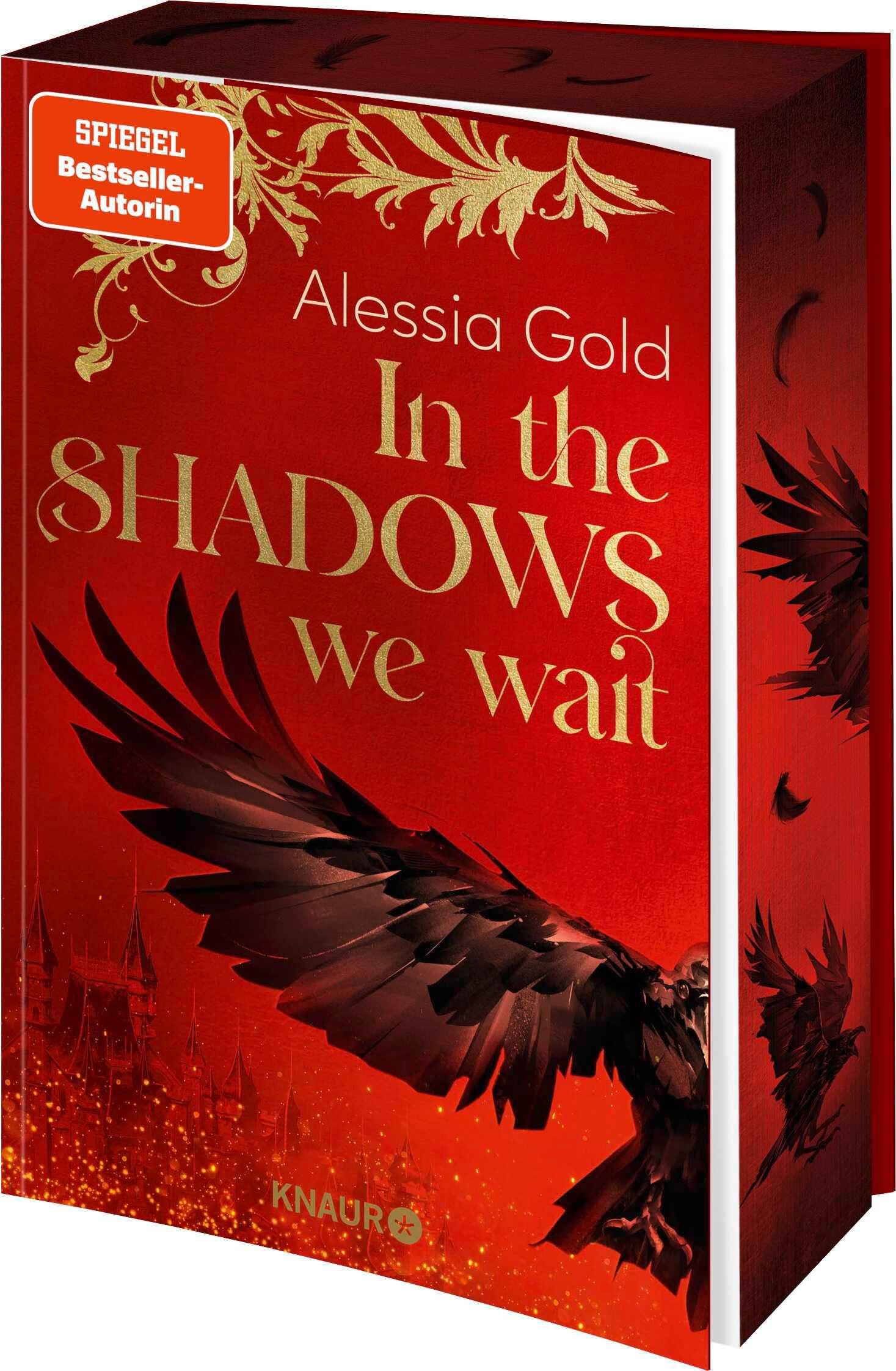 Vorderes Coverbild In the Shadows we wait