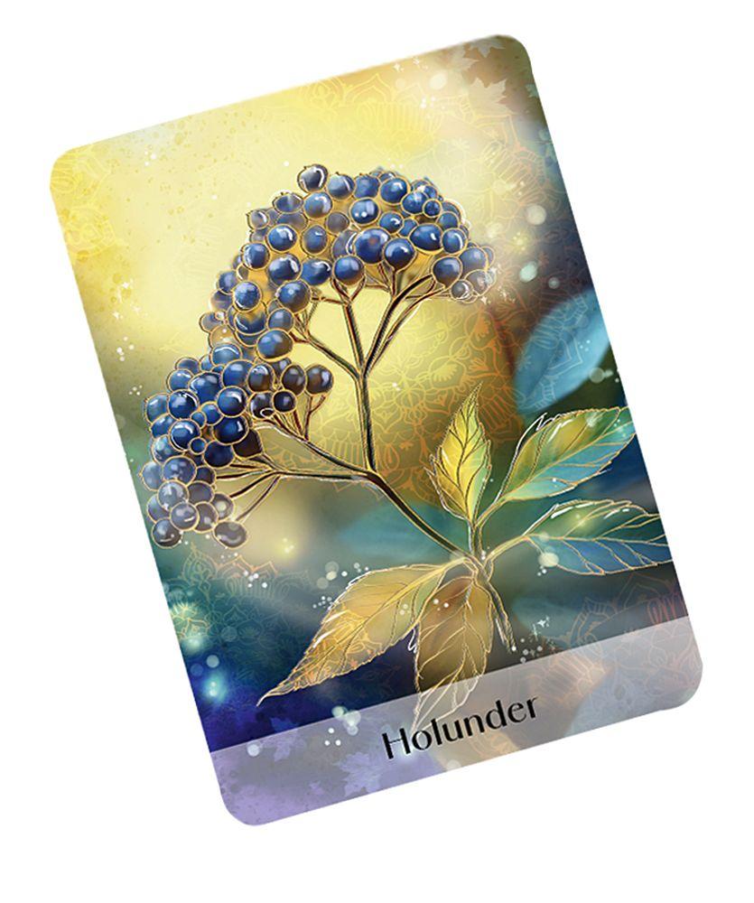 Beispielinhalt (Bild) Das heilende Orakel der Rauhnächte