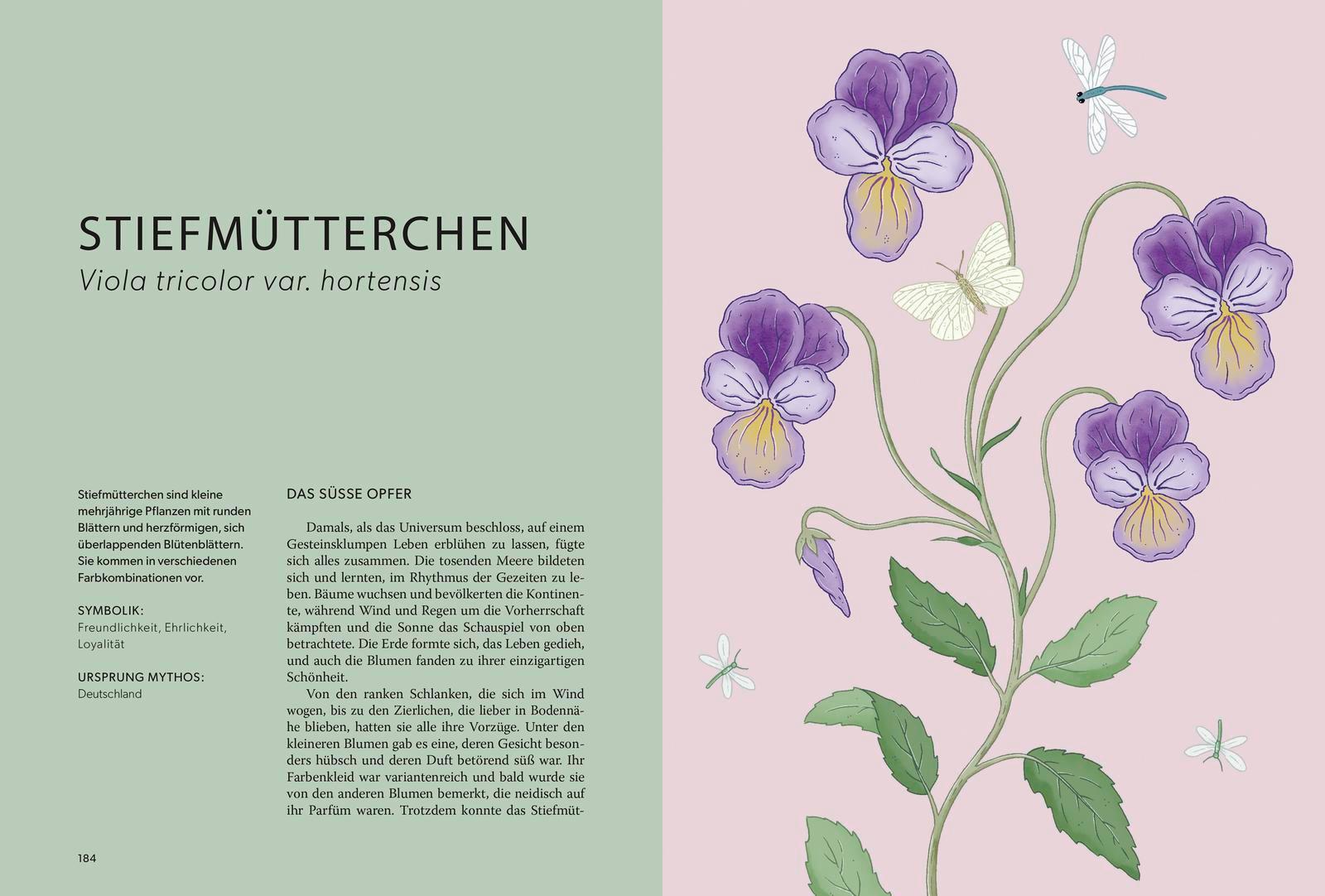 Beispielinhalt (Bild) Die Welt der Blumen