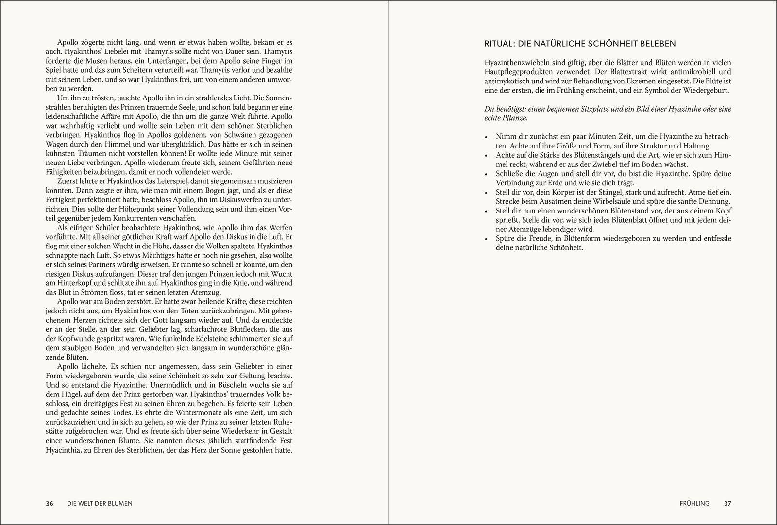 Beispielinhalt (Bild) Die Welt der Blumen
