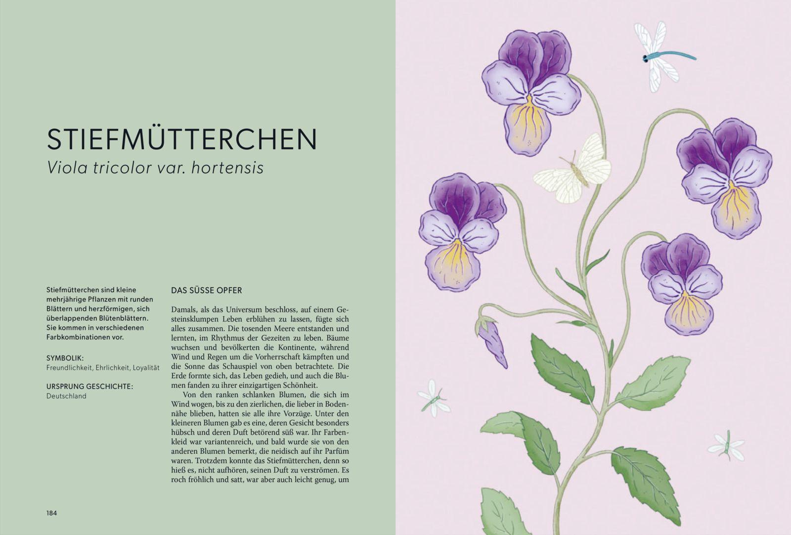 Beispielinhalt (Bild) Die Welt der Blumen