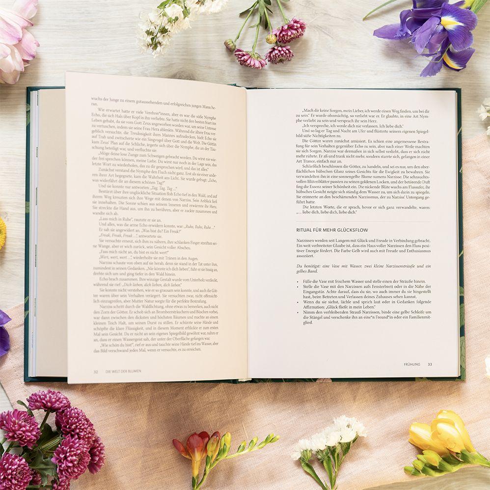 Beispielinhalt (Bild) Die Welt der Blumen