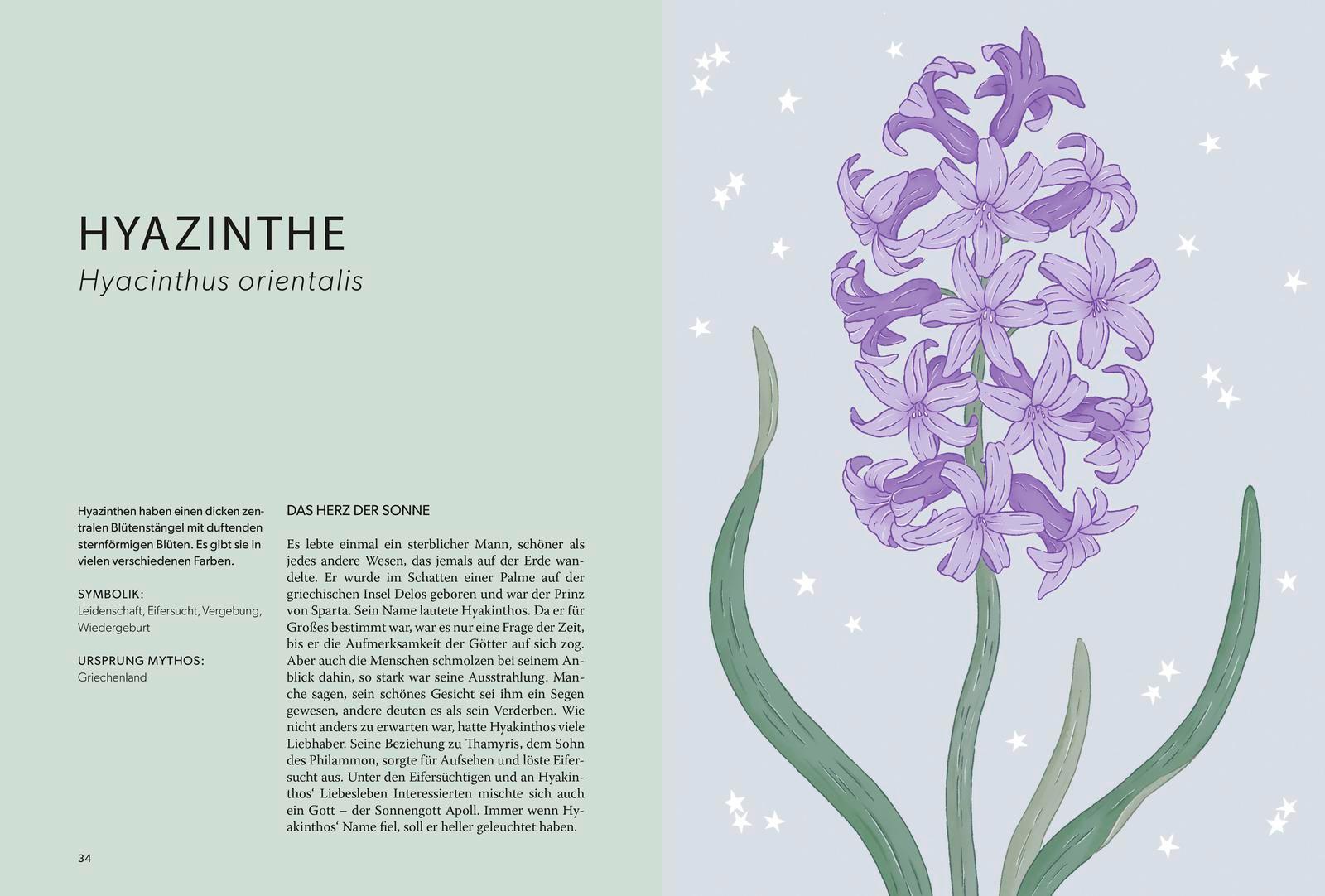 Beispielinhalt (Bild) Die Welt der Blumen