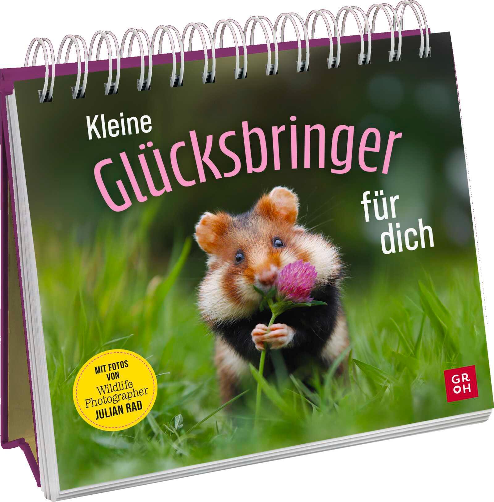 Vorderes Coverbild Kleine Glücksbringer für dich