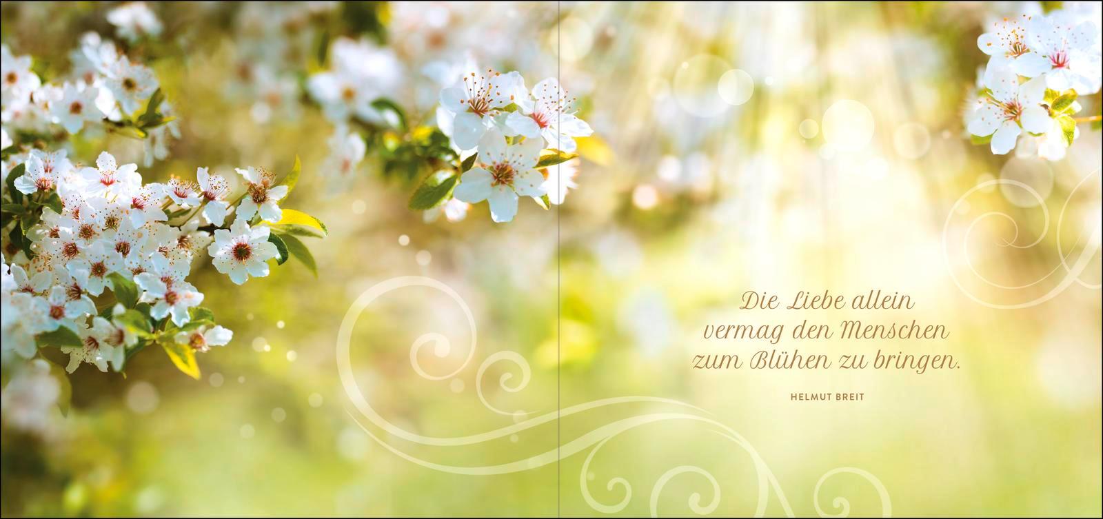 Beispielinhalt (Bild) Zur Goldenen Hochzeit die besten Wünsche