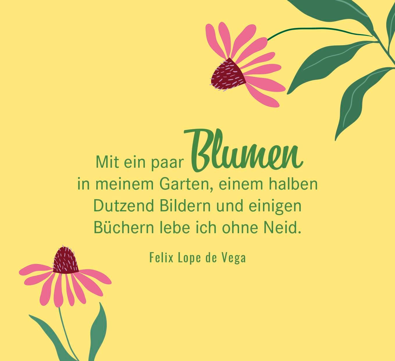 Beispielinhalt (Bild) Heute winkt das Glück dir zu