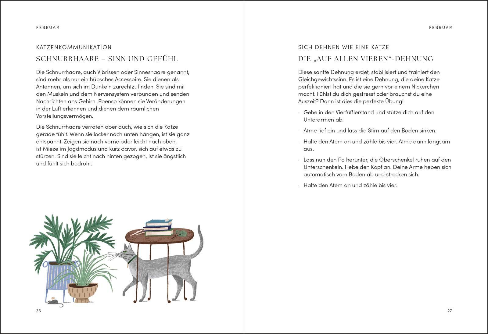 Beispielinhalt (Bild) The Cat Year