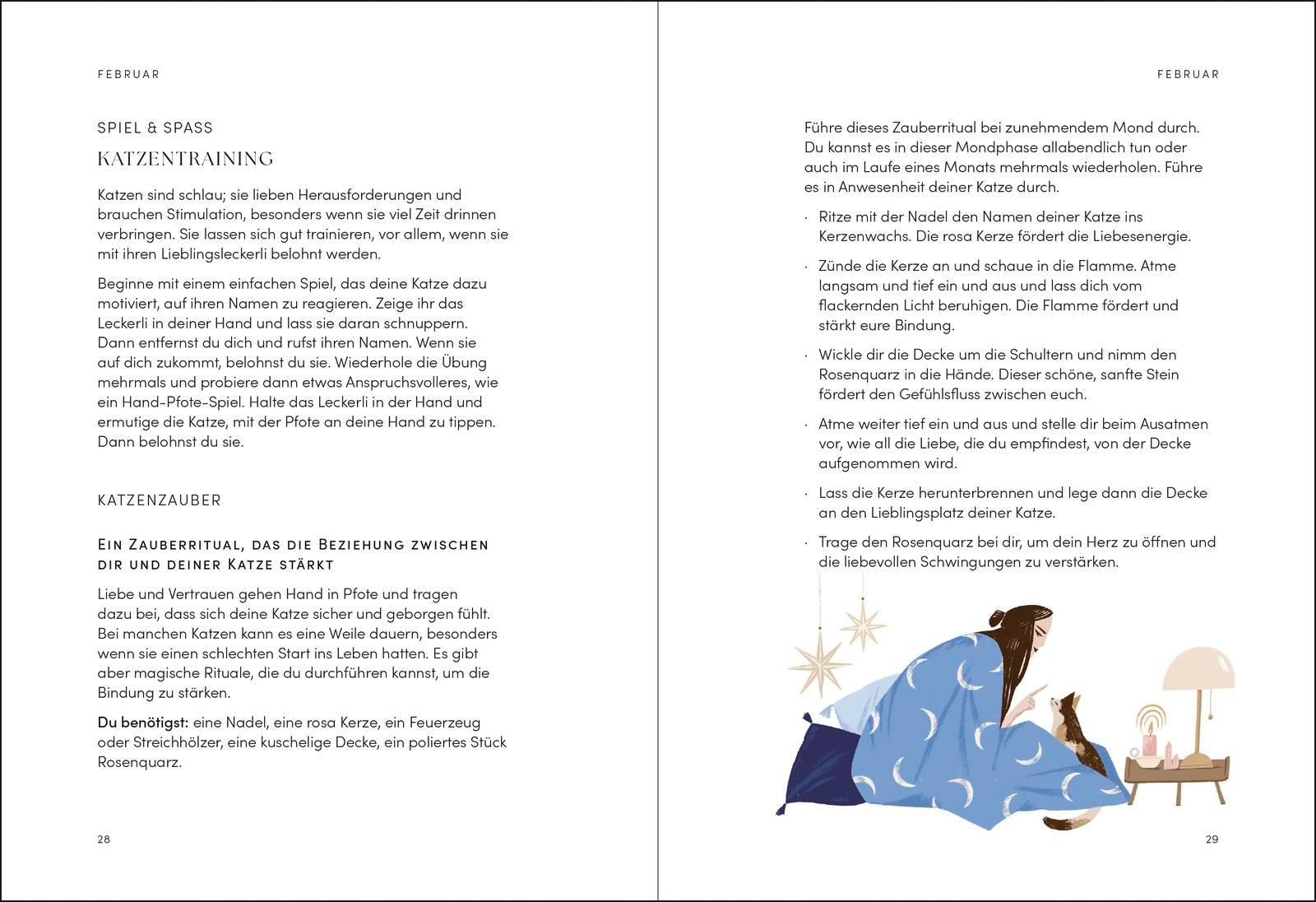 Beispielinhalt (Bild) The Cat Year