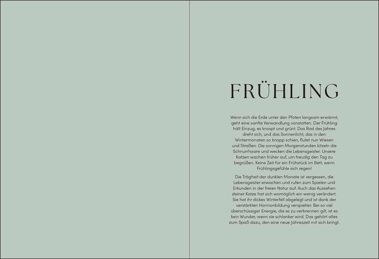 Beispielinhalt (Bild) The Cat Year