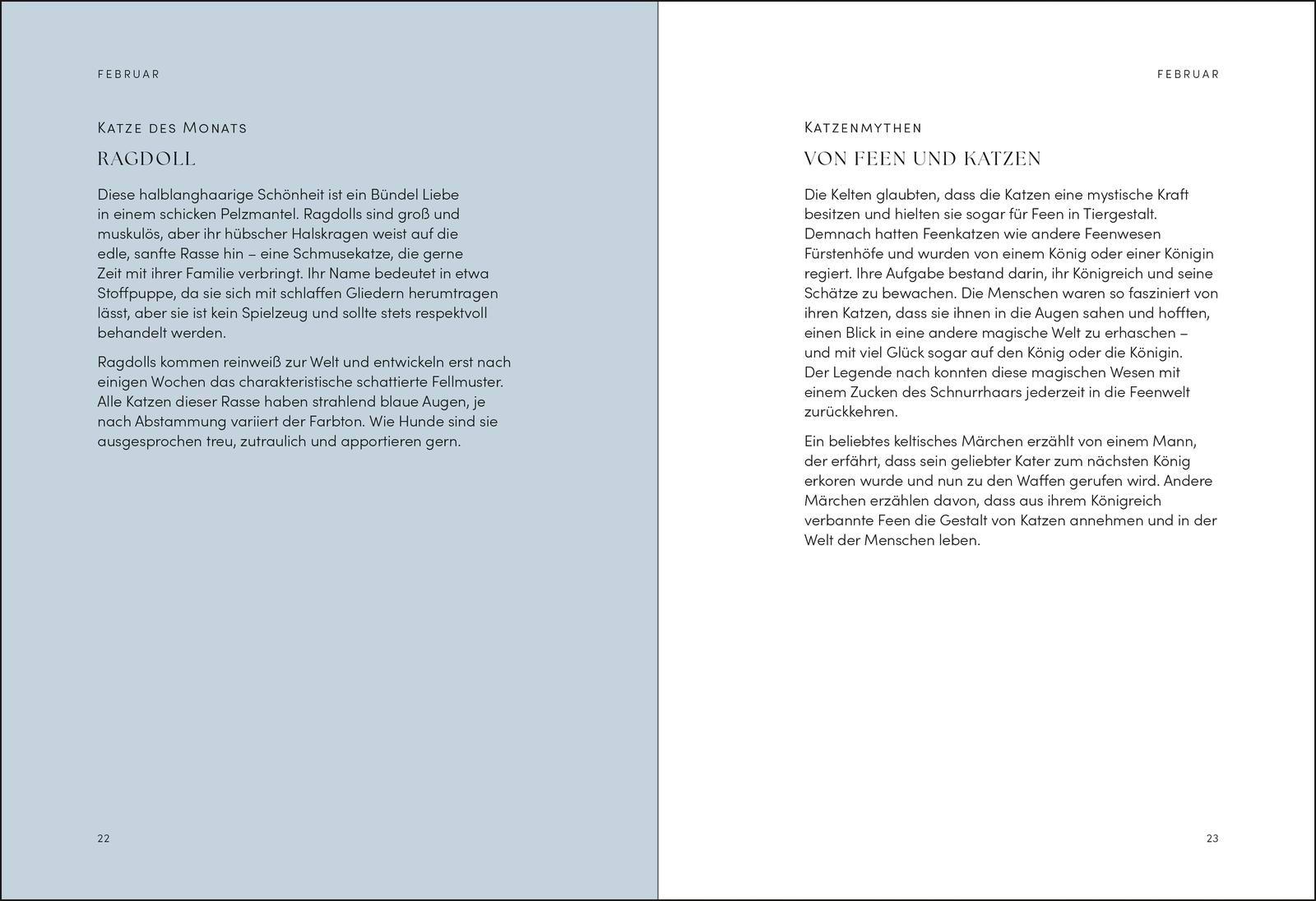 Beispielinhalt (Bild) The Cat Year