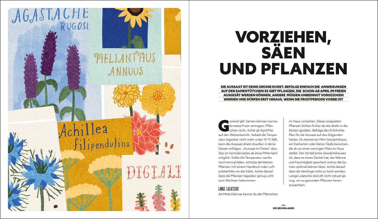 Beispielinhalt (Bild) Blumenzauber - Mein blühendes Paradies auf Balkon und Terrasse