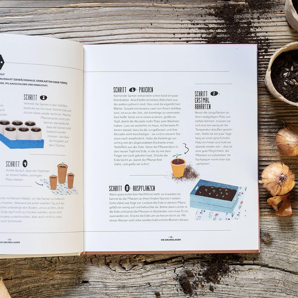 Beispielinhalt (Bild) Blumenzauber - Mein blühendes Paradies auf Balkon und Terrasse