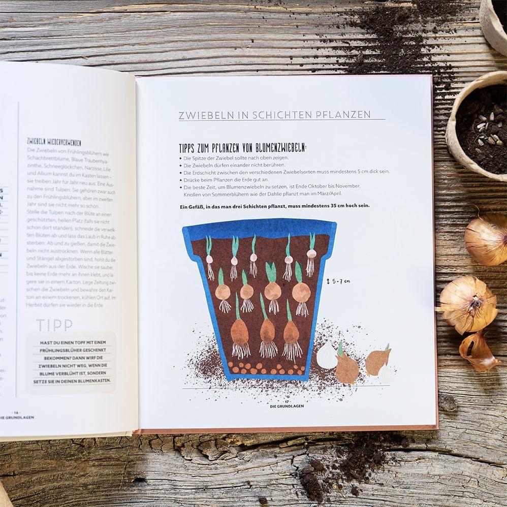 Beispielinhalt (Bild) Blumenzauber - Mein blühendes Paradies auf Balkon und Terrasse