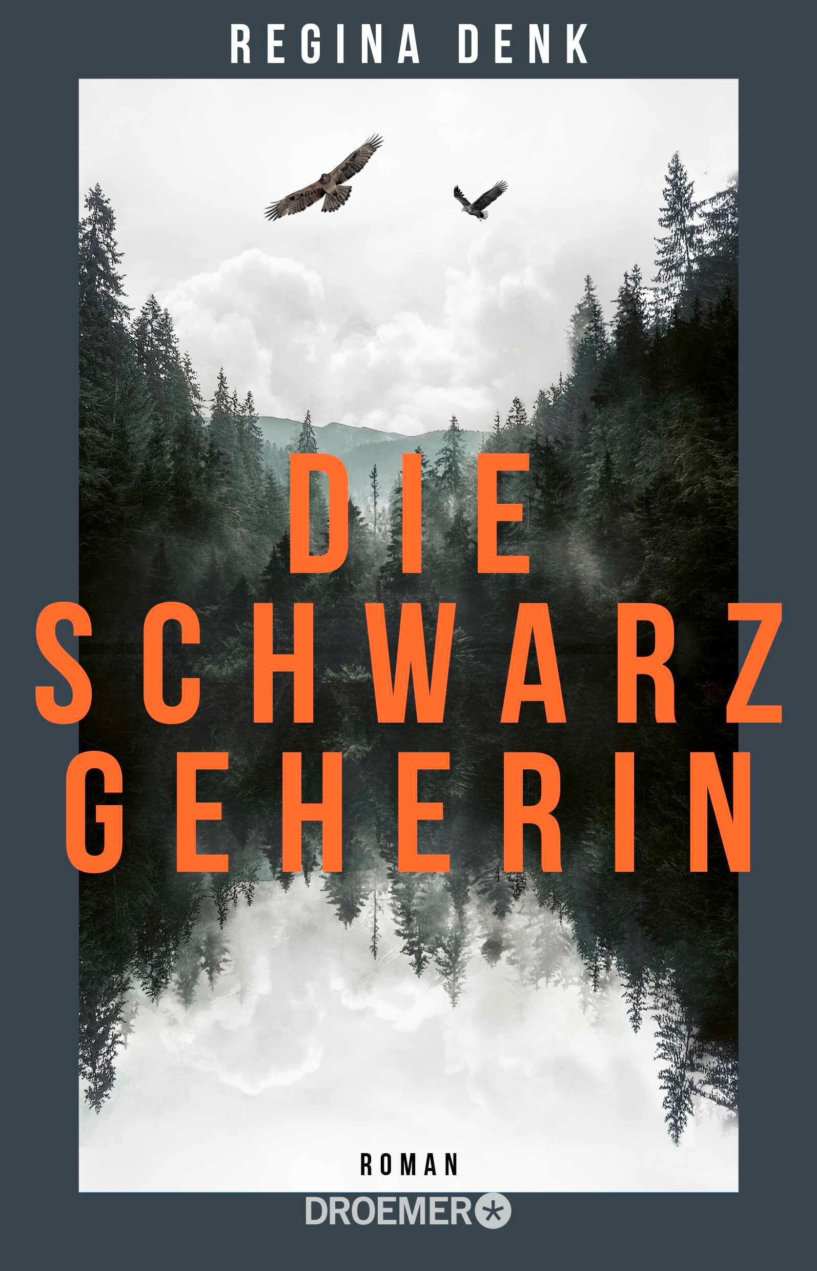 Vorderes Coverbild Die Schwarzgeherin