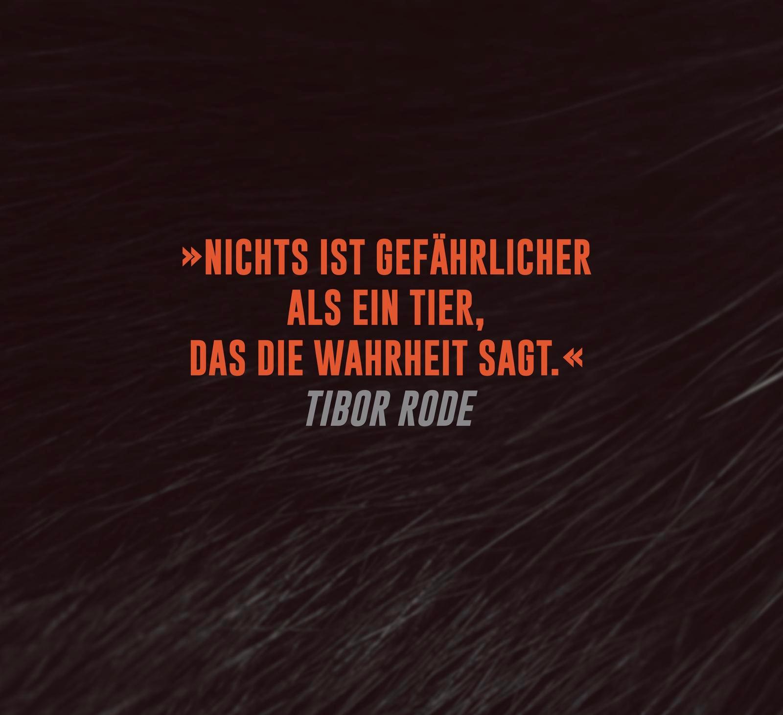 Beispielinhalt (Bild) Animal