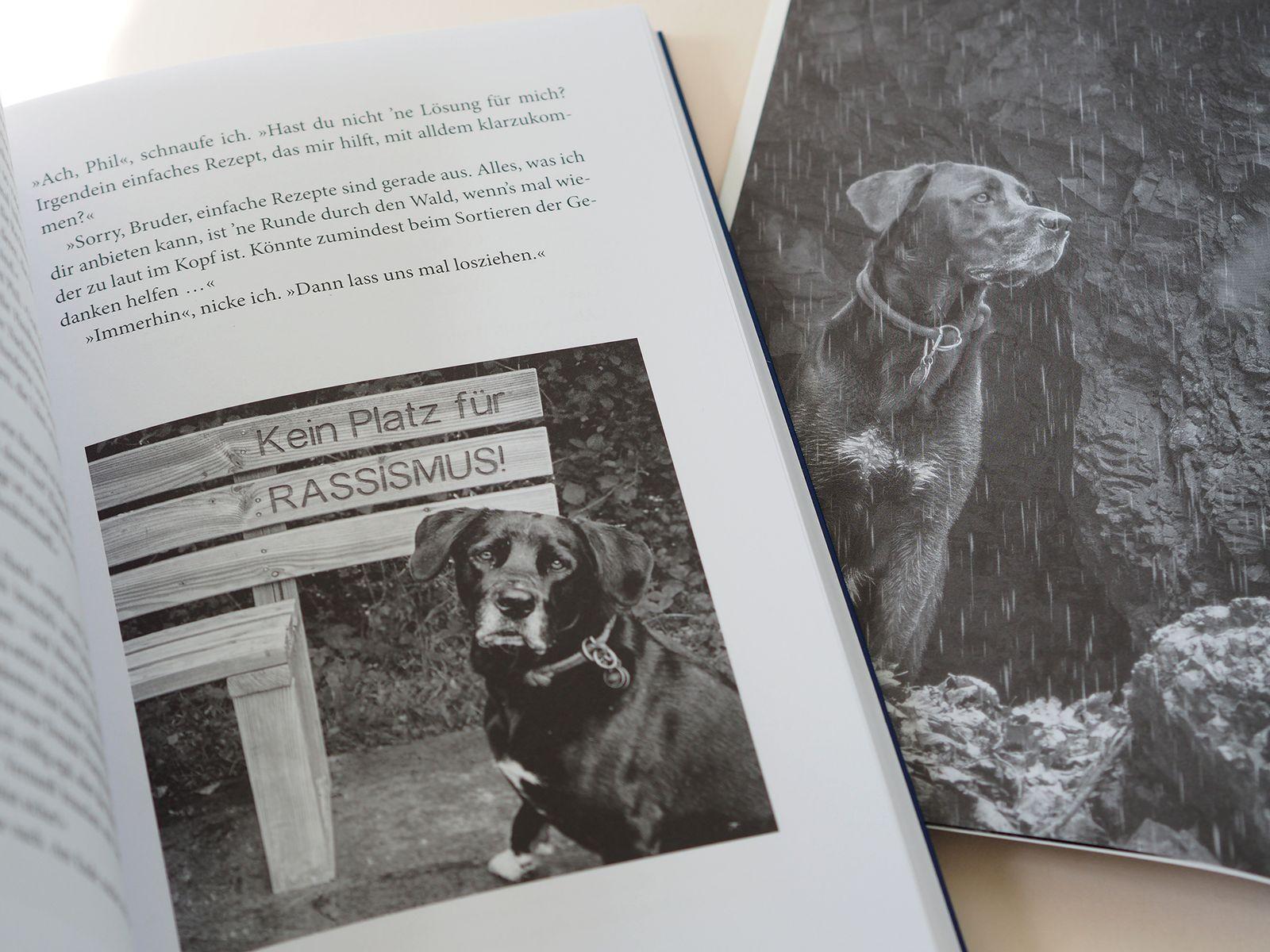 Beispielinhalt (Bild) Ziemlich bester Hund