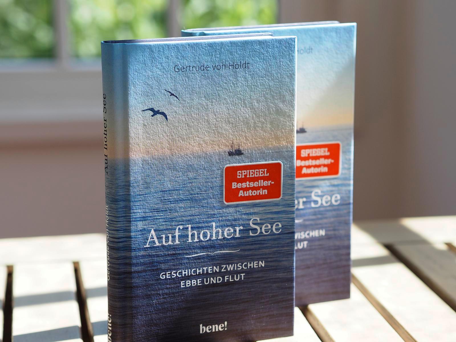 Beispielinhalt (Bild) Auf hoher See