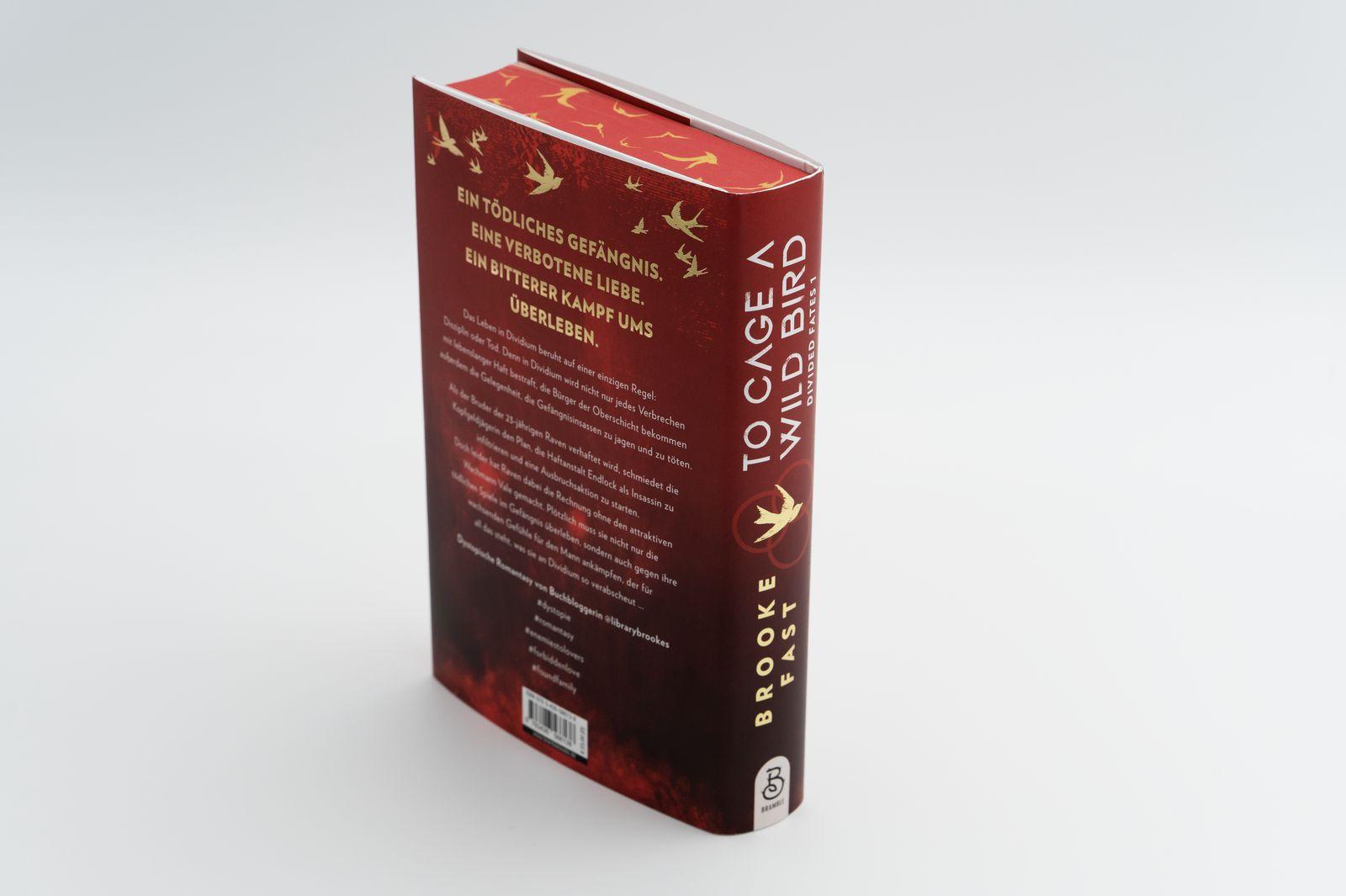 Beispielinhalt (Bild) To Cage a Wild Bird