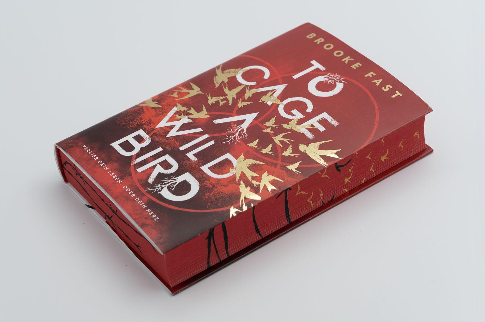 Beispielinhalt (Bild) To Cage a Wild Bird