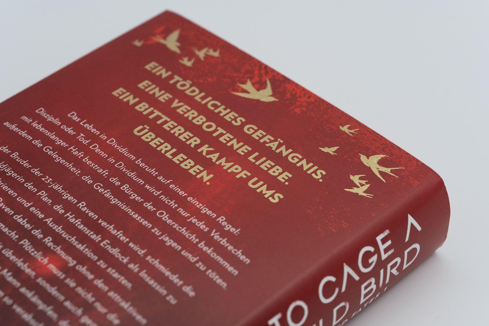 Beispielinhalt (Bild) To Cage a Wild Bird