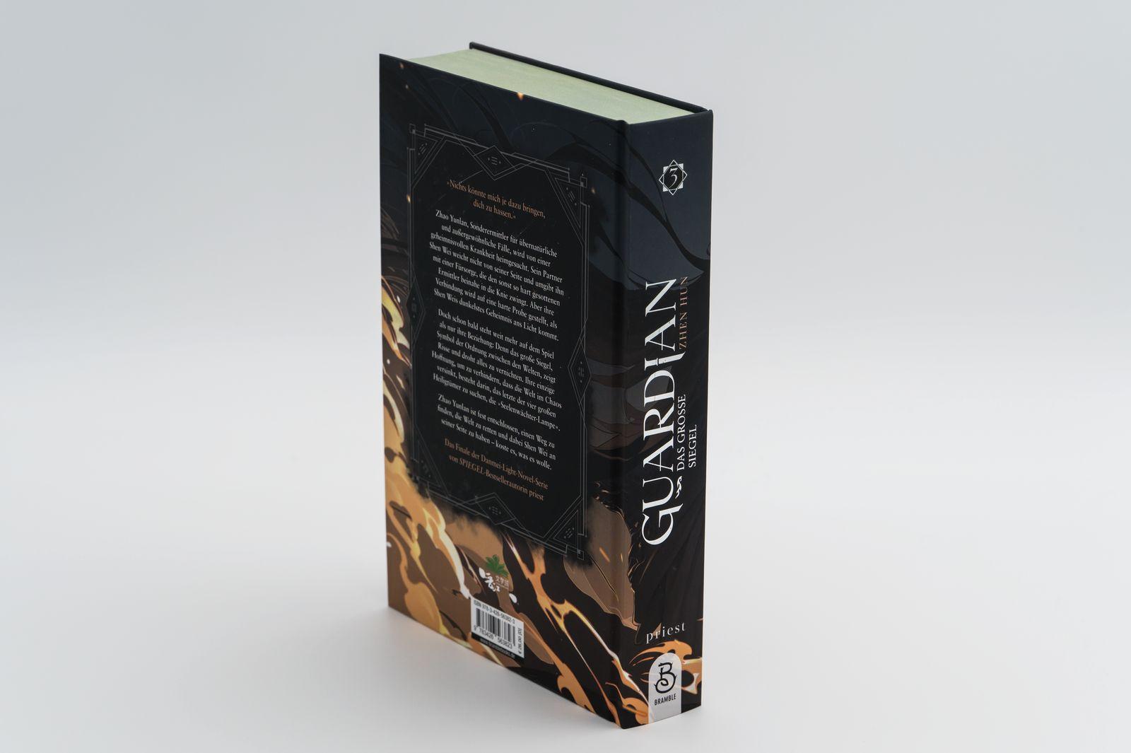 Beispielinhalt (Bild) Guardian 3. Das große Siegel