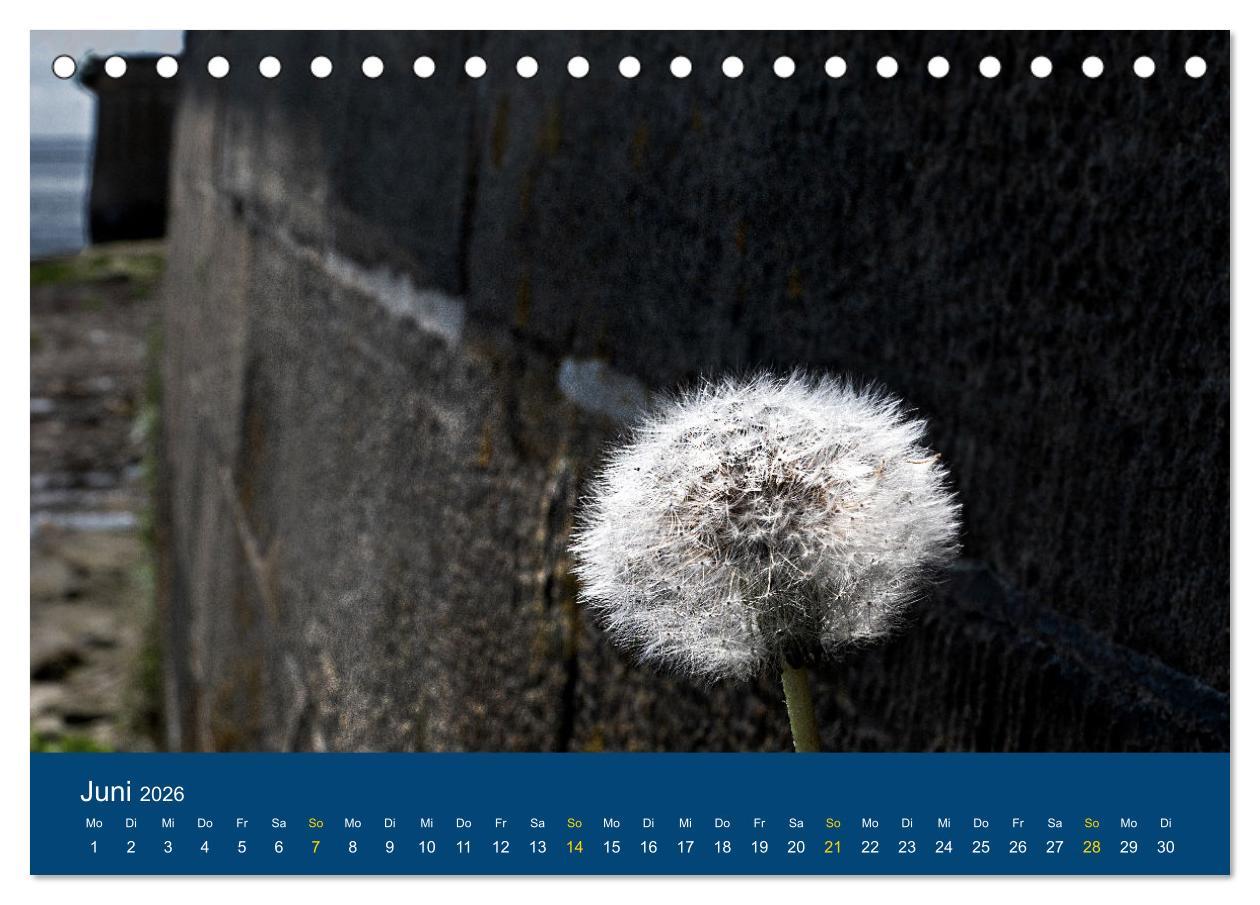 Beispielinhalt (Bild) Die Nordmole in Wilhelmshaven. Historisches Relikt und Lieblingsort. (Tischkalender 2026 DIN A5 quer), CALVENDO Monatskalender